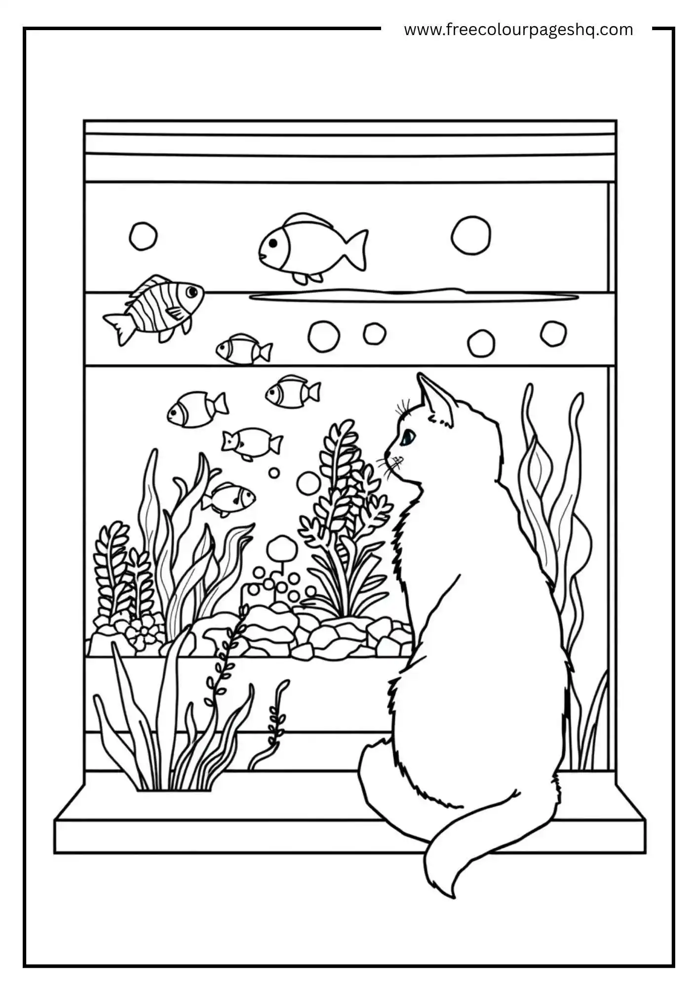 Cat Watching the Fish Tank