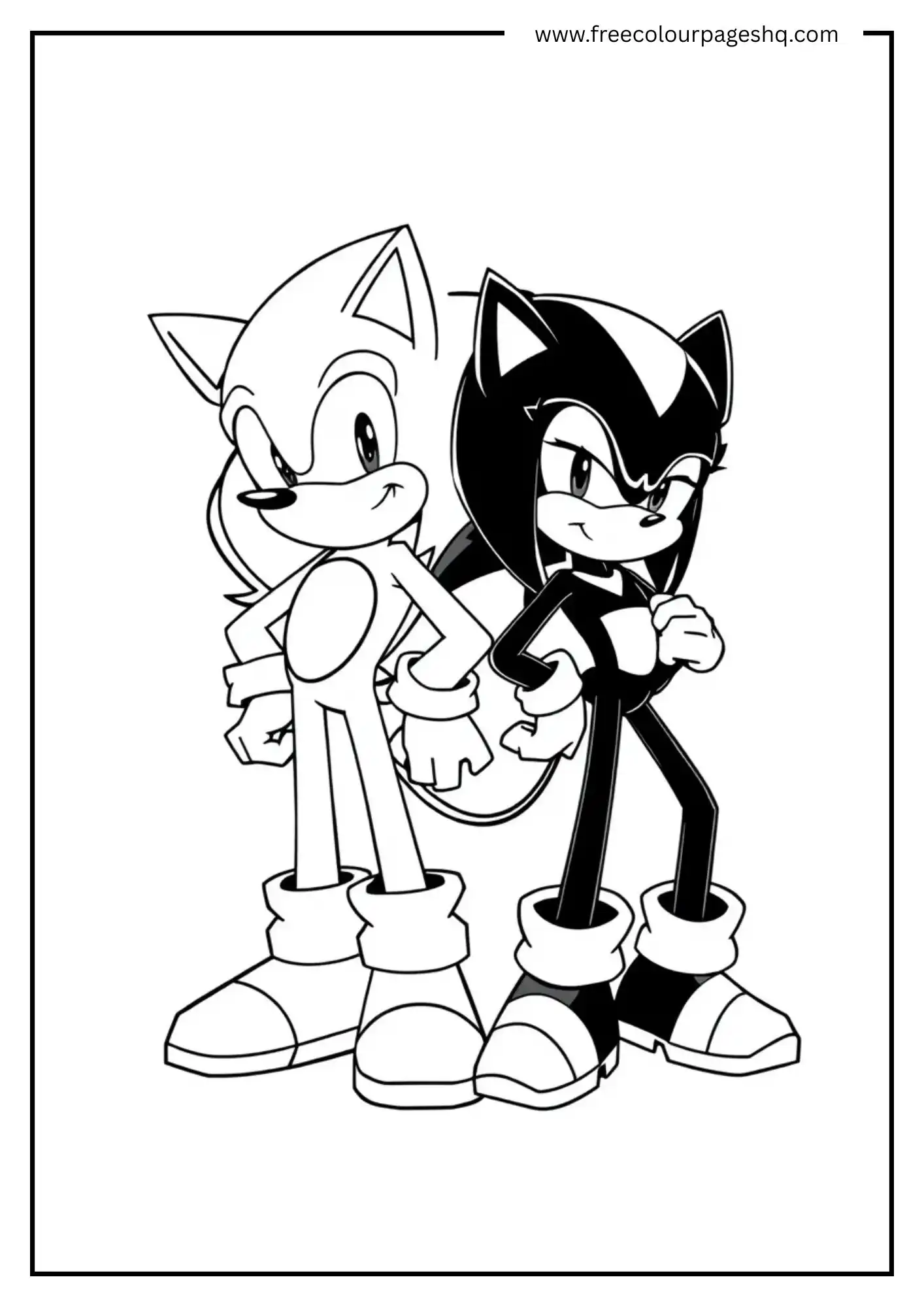 Hero Duo Sonic and Shadow
