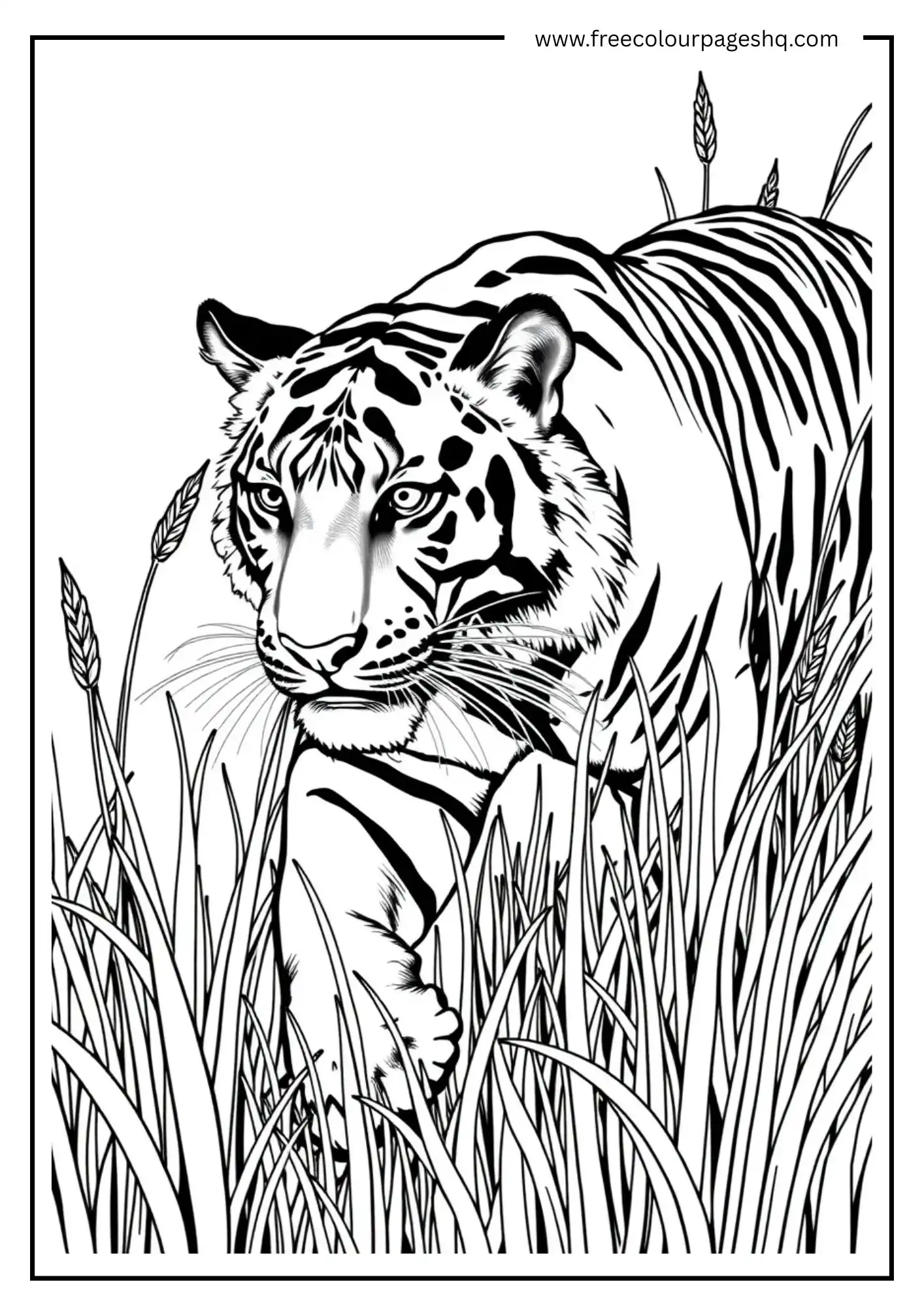 Jungle Stalker