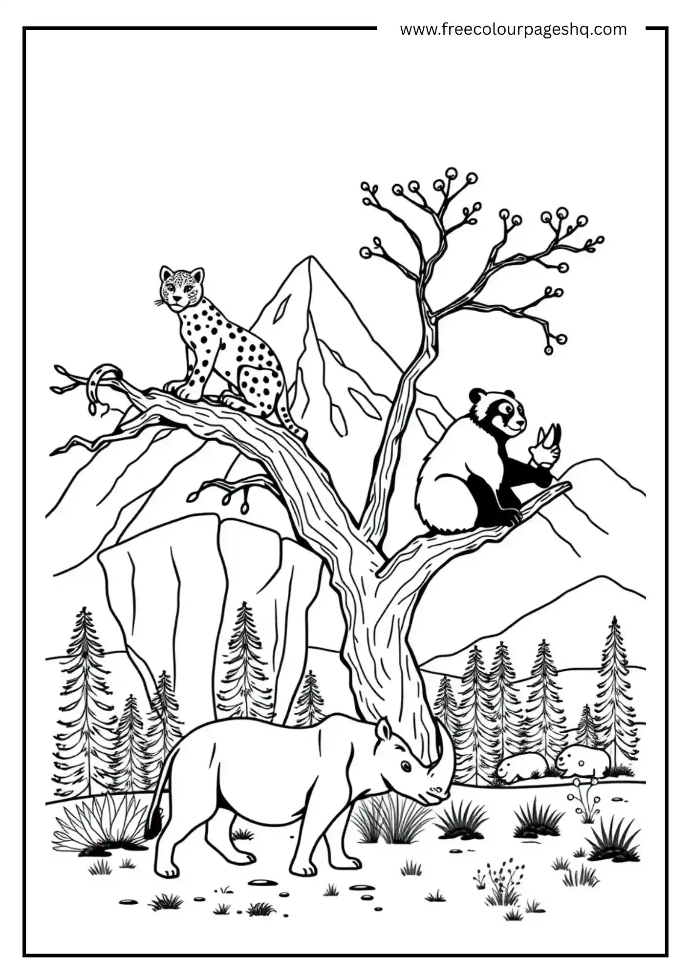 Leopard, Panda, and Rhino