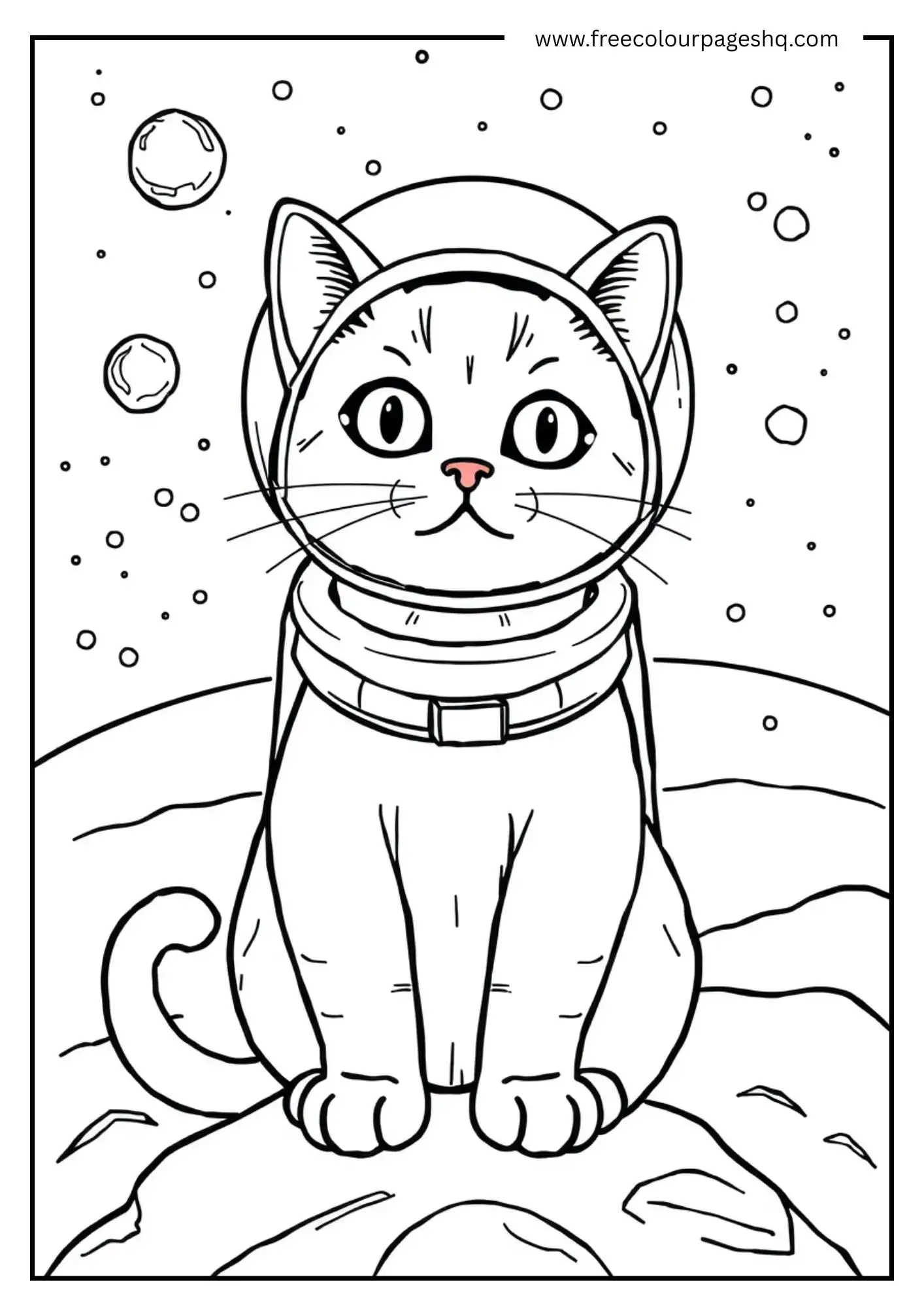 Meow in Space
