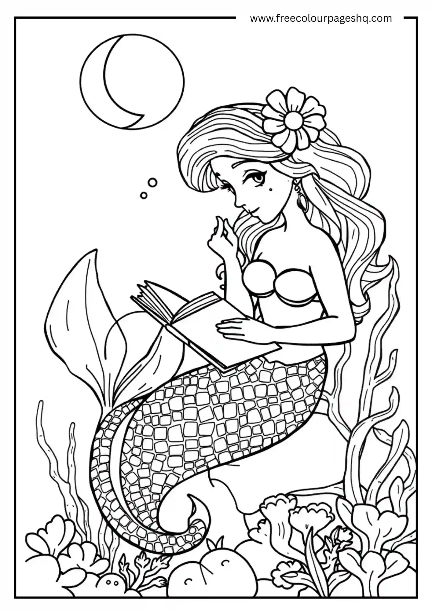 Ocean Tales