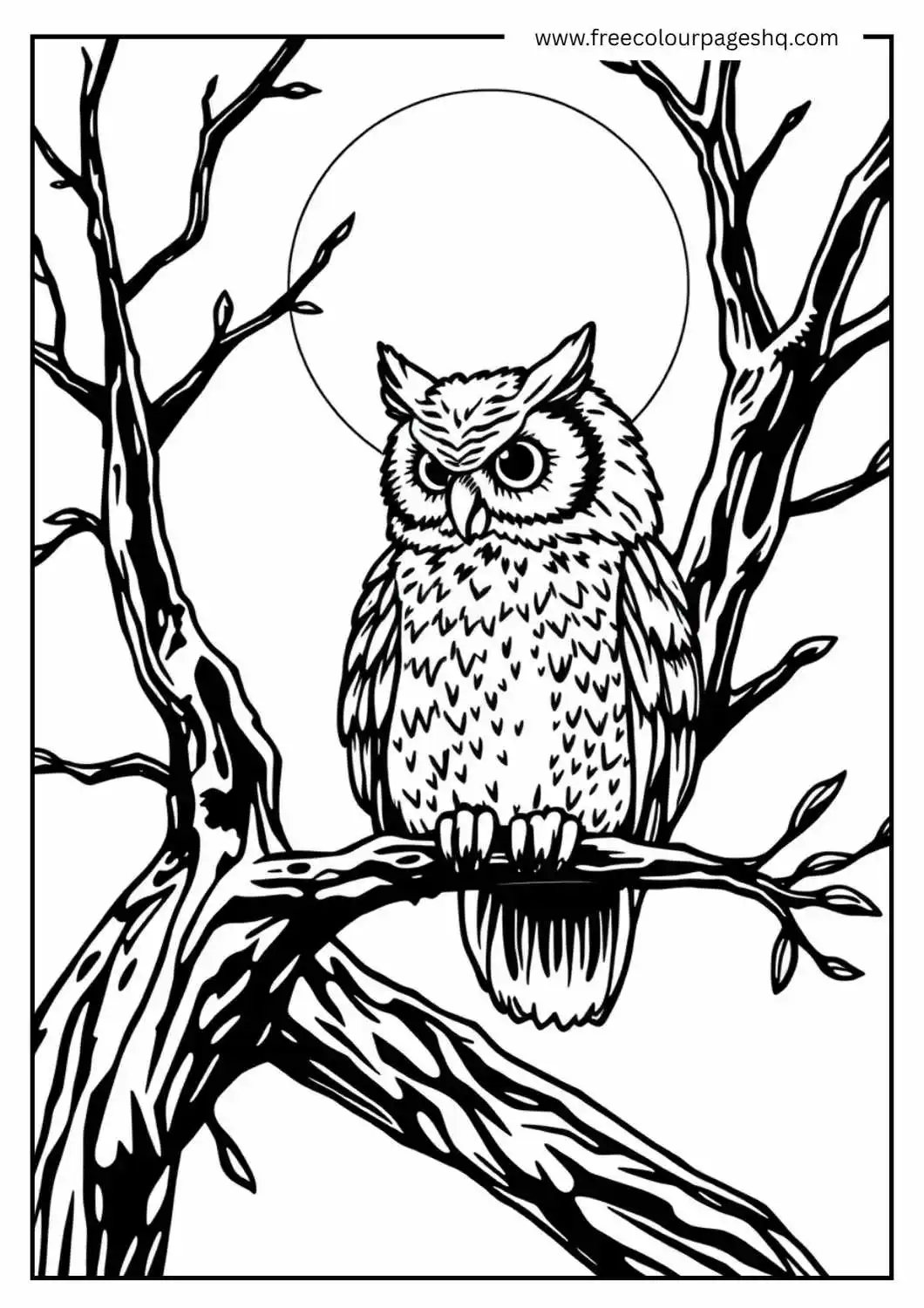 Owl Under the Moon
