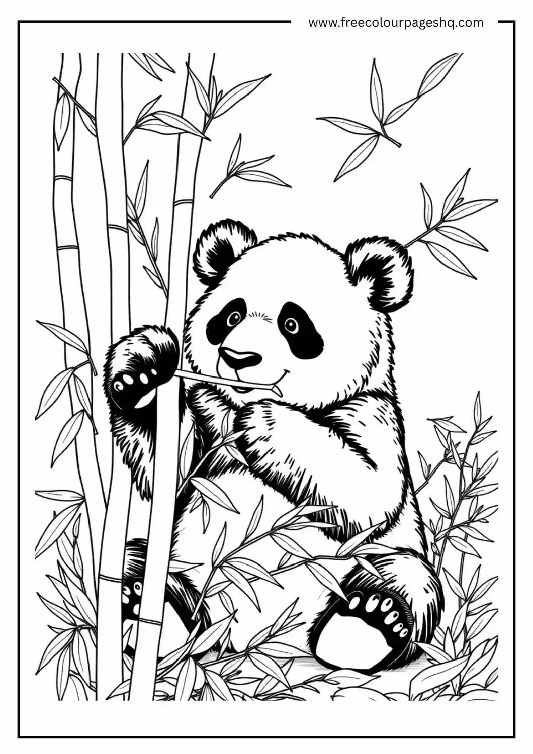 Panda’s Bamboo Feast