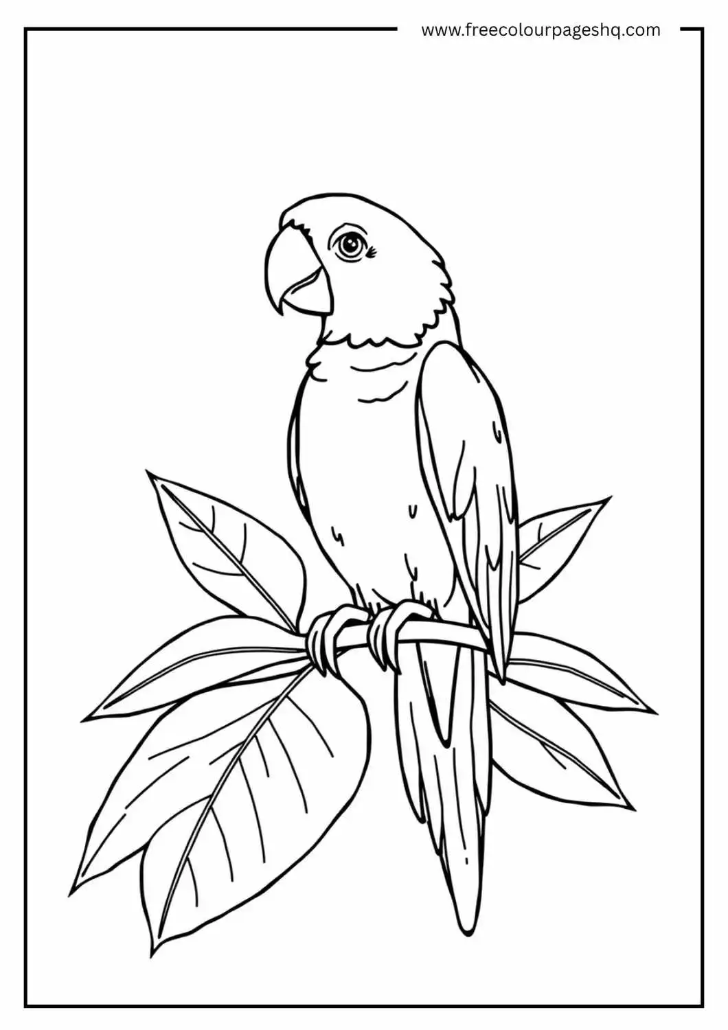 Parrot on a Perch