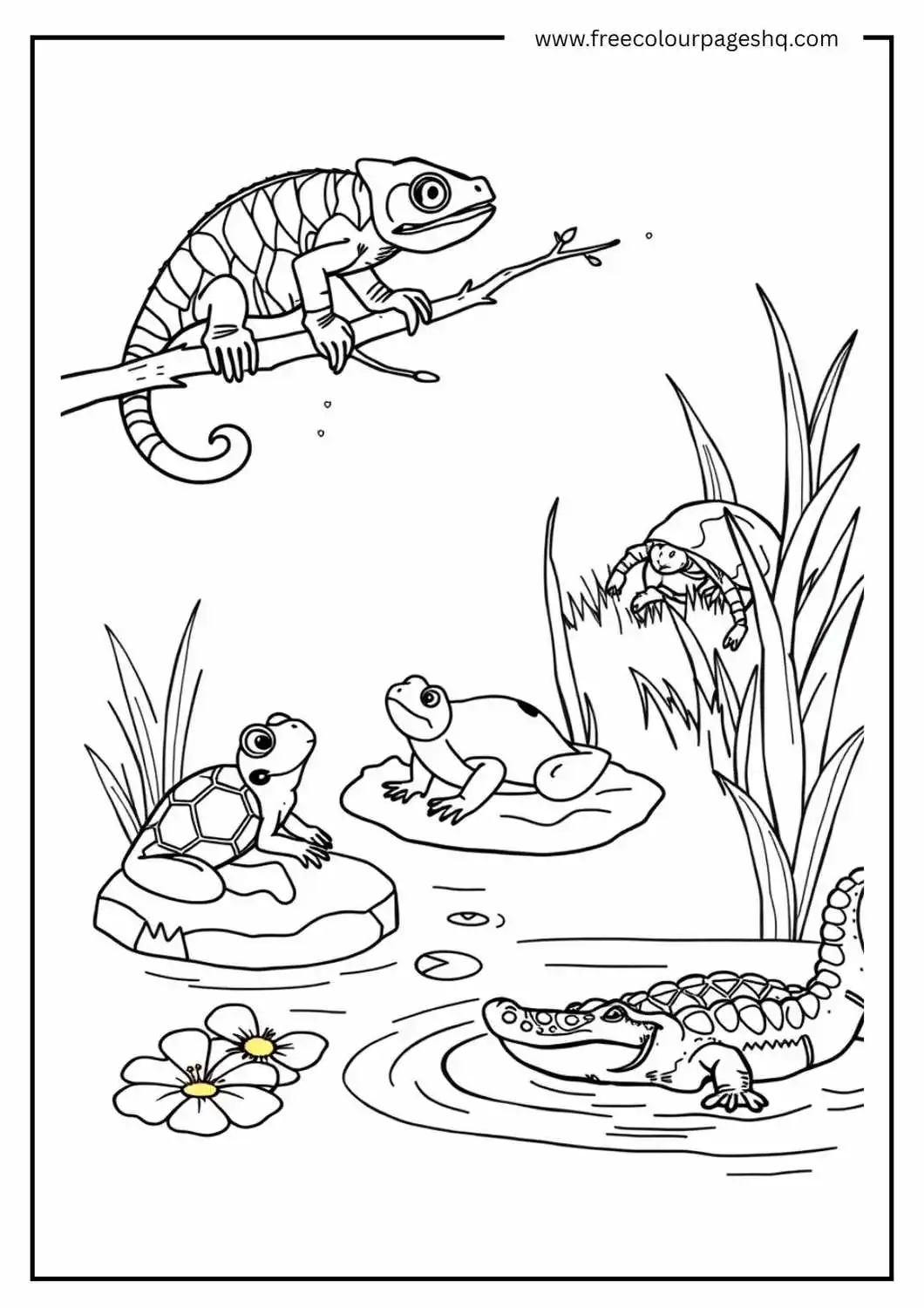 Pond Pals