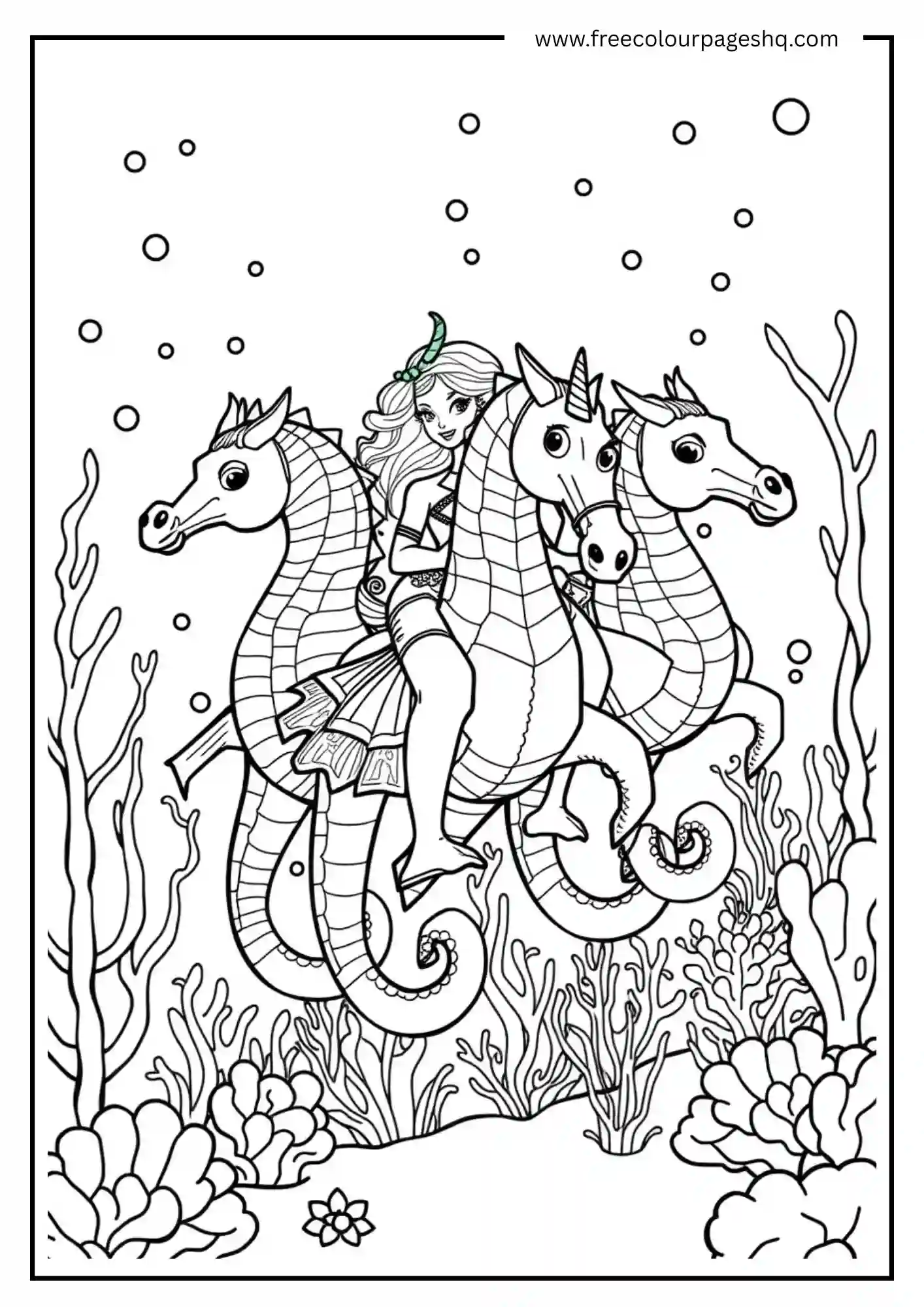 Sea Adventure