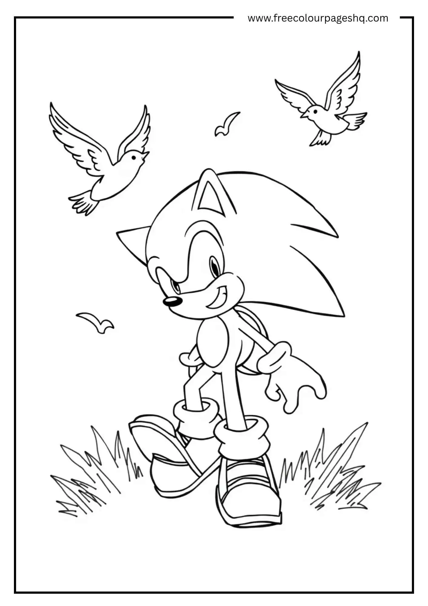 Sonic Walking with Birds