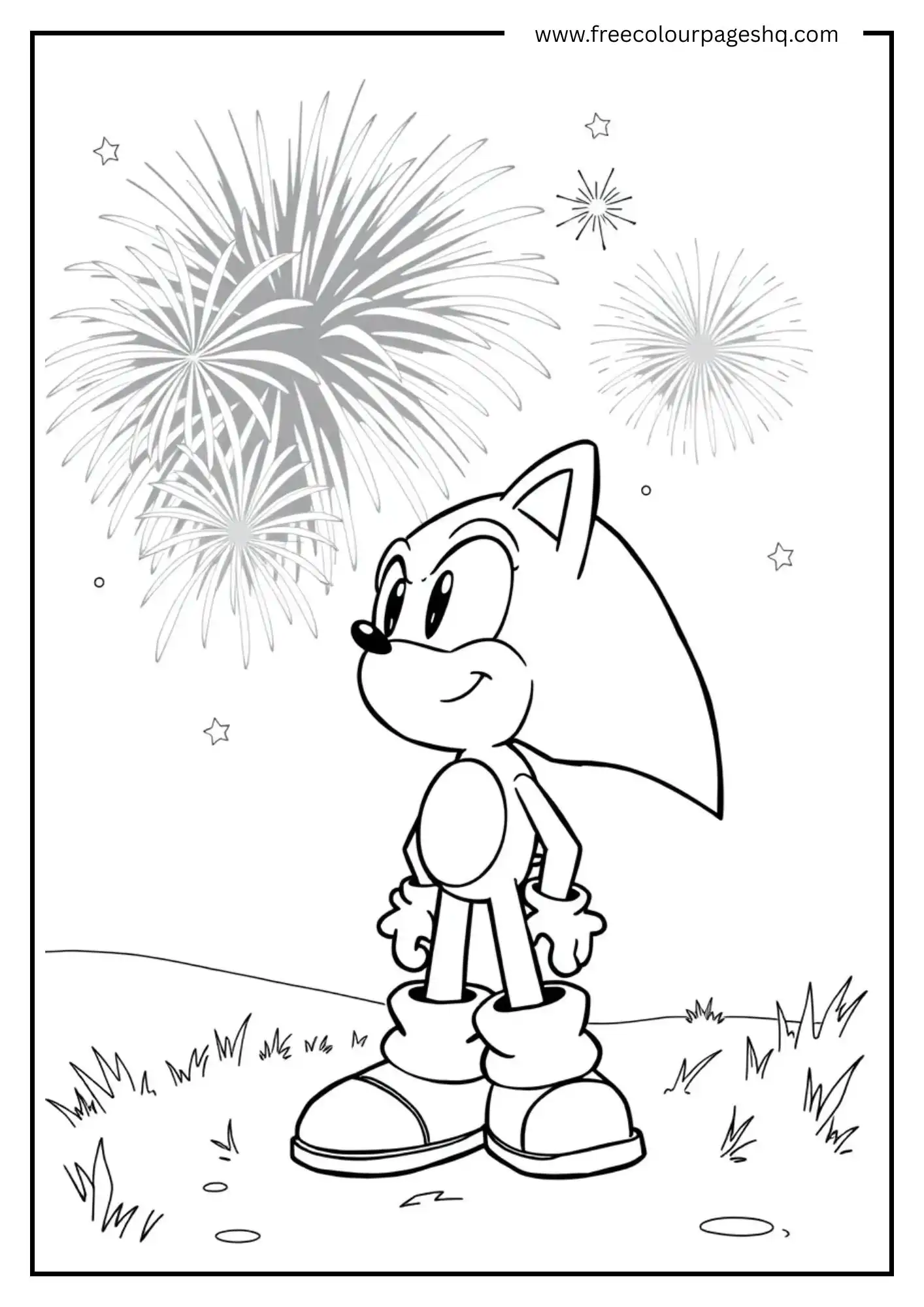 Sonic Watching Fireworks