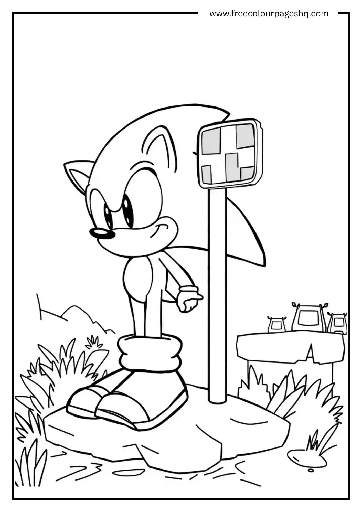 Sonic with a Checkpoint Pole