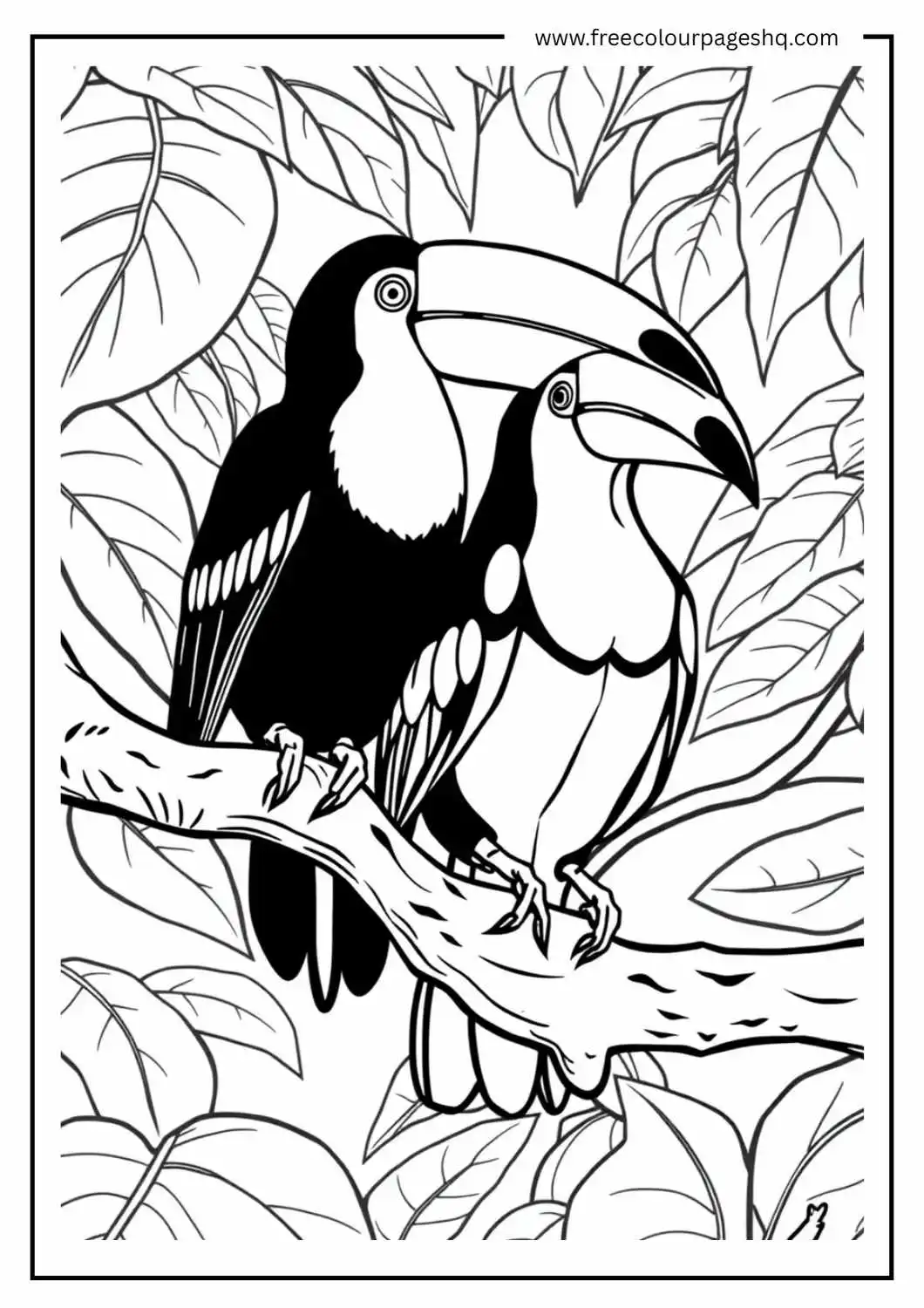 Toucan Twins in the Tropics