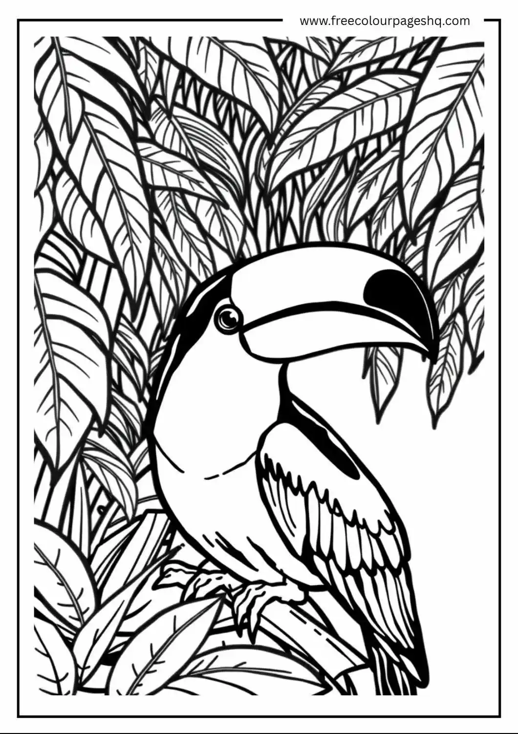 Toucan in the Tropics