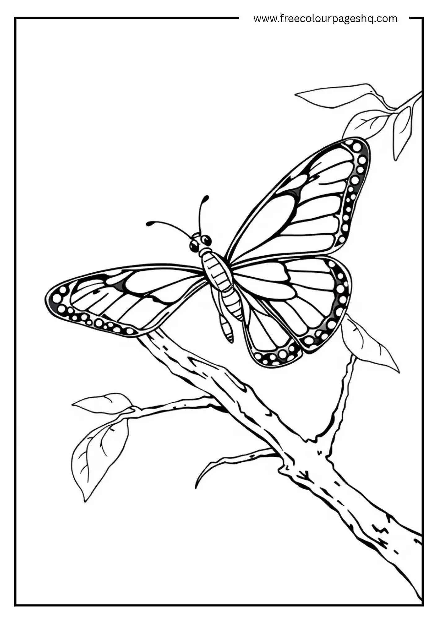 A Perch on the Branch