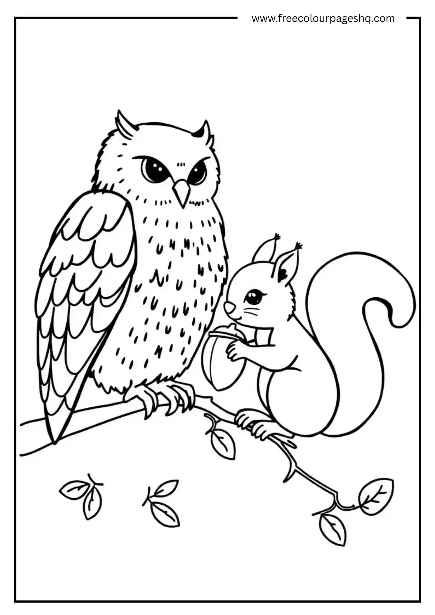 Acorn Sharing Owl