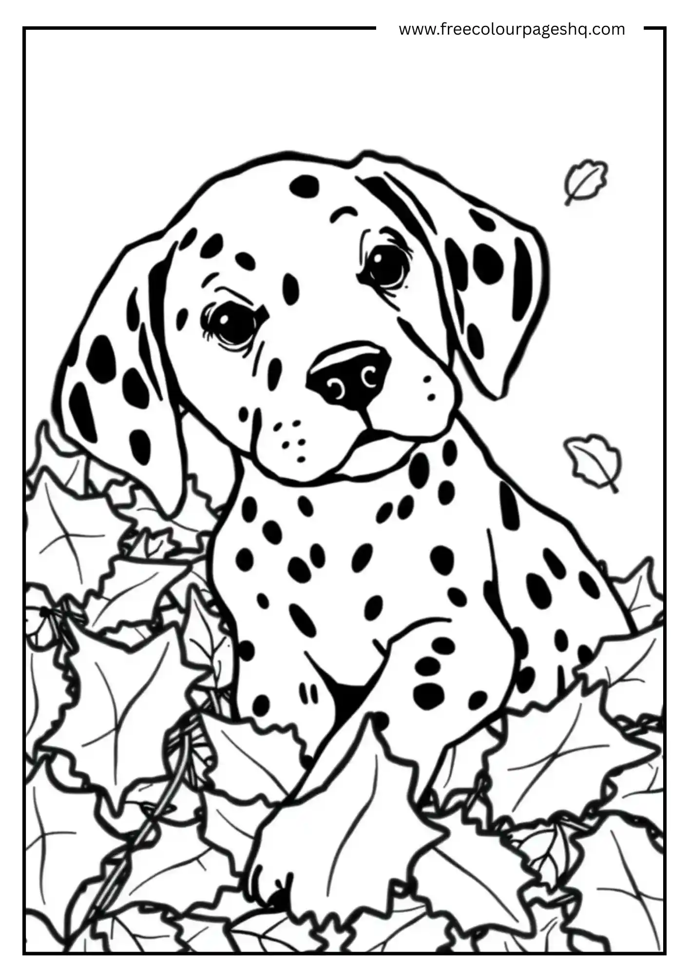 Adorable Dalmatian Dog