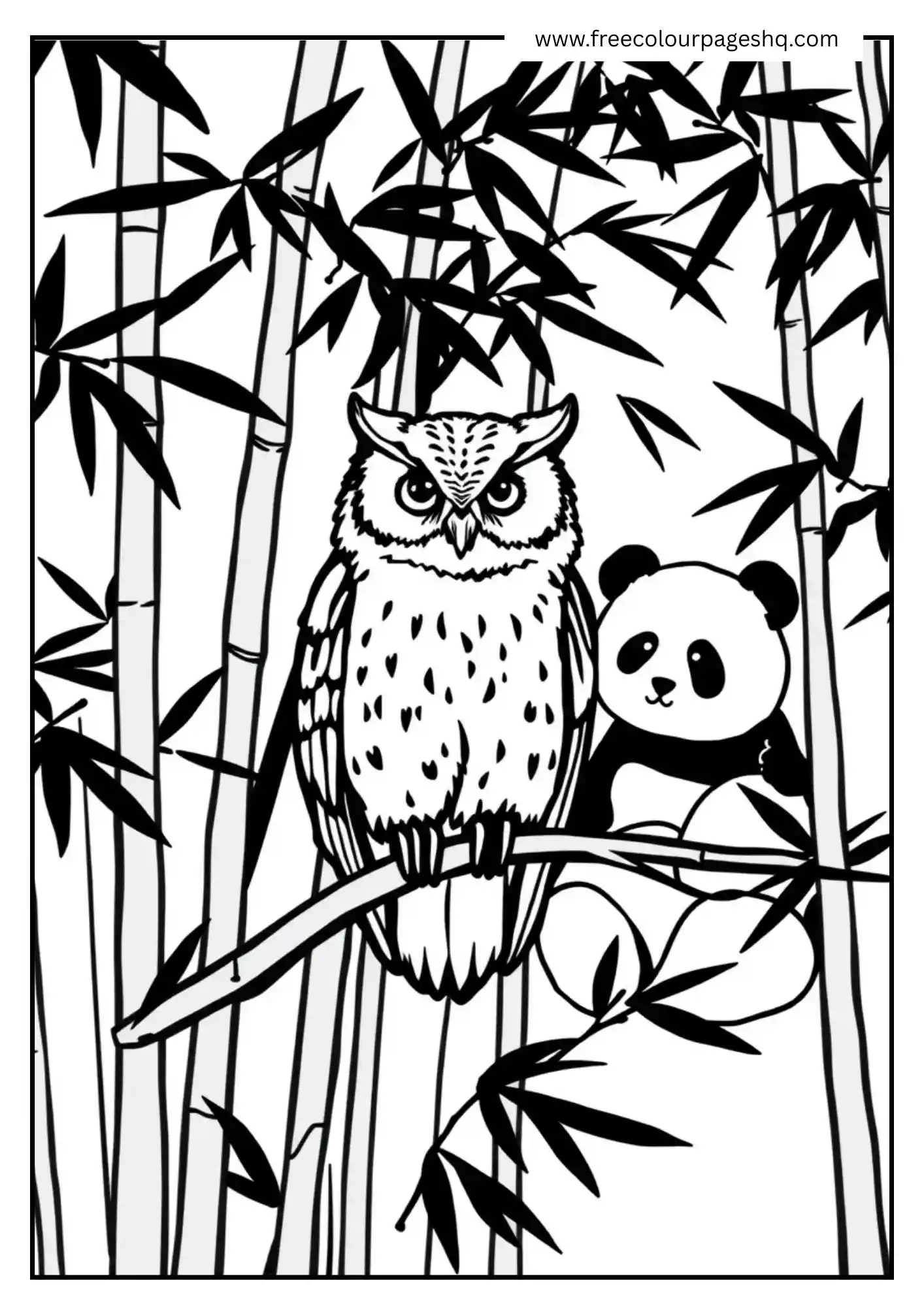 Bamboo Panda Owl