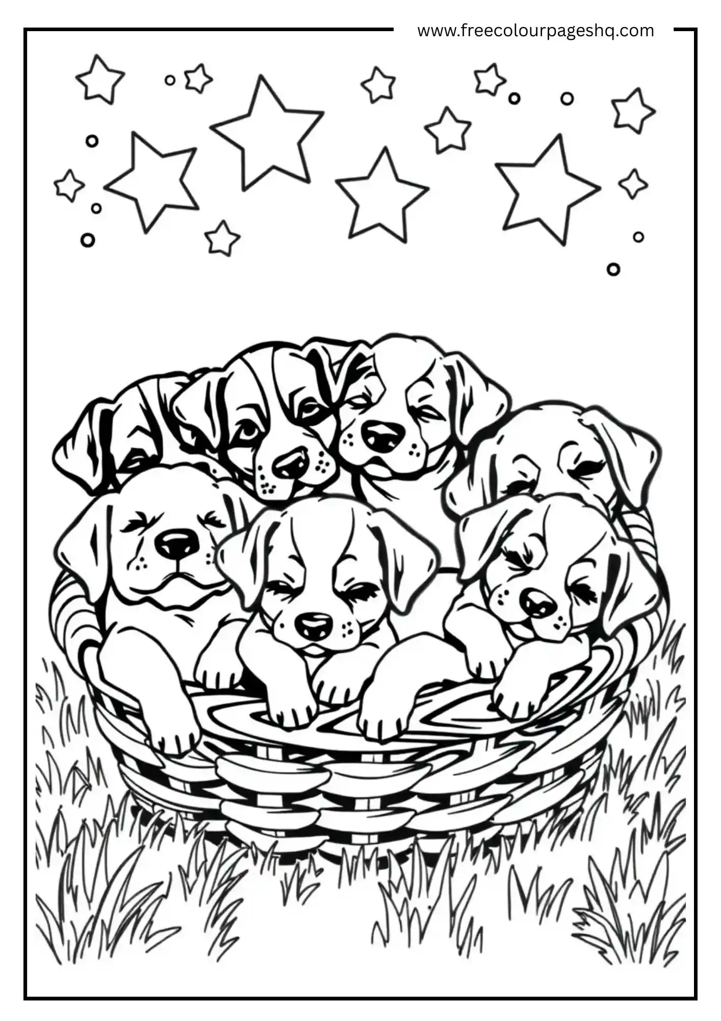 Basket Puppies