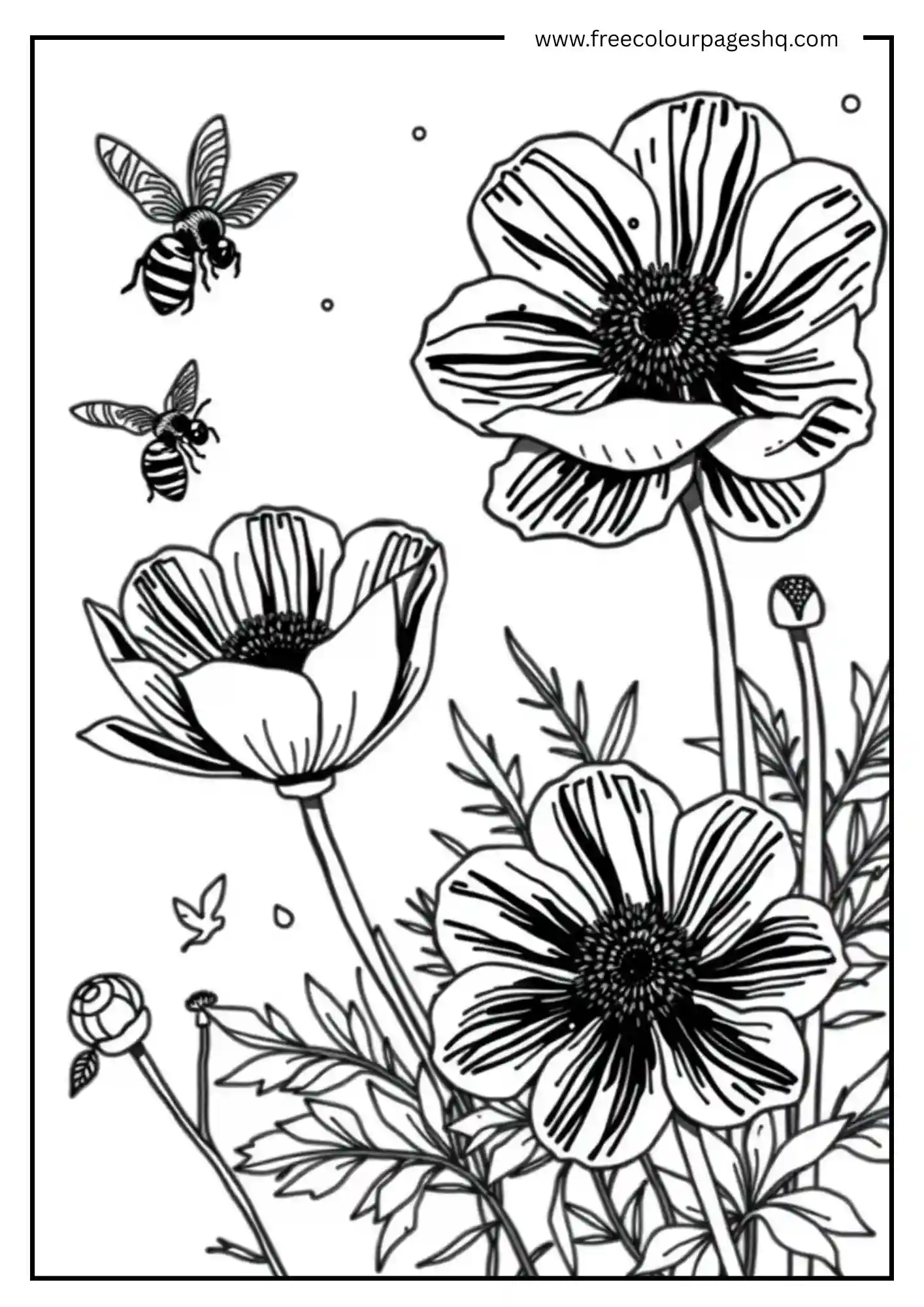 Bees & Blossoms