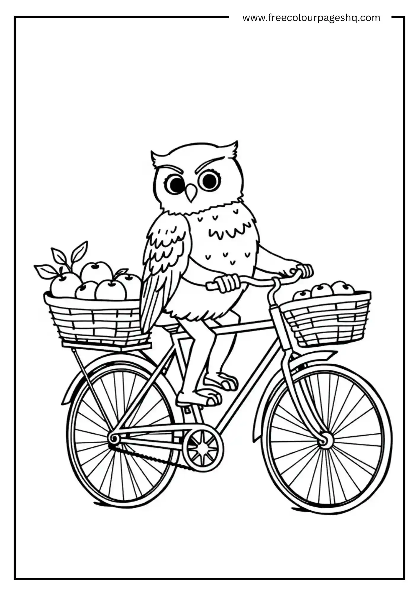 Bicycle Basket Owl