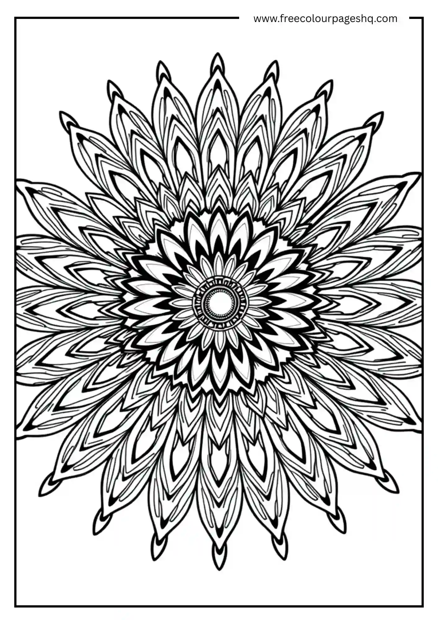 Bloom Art
