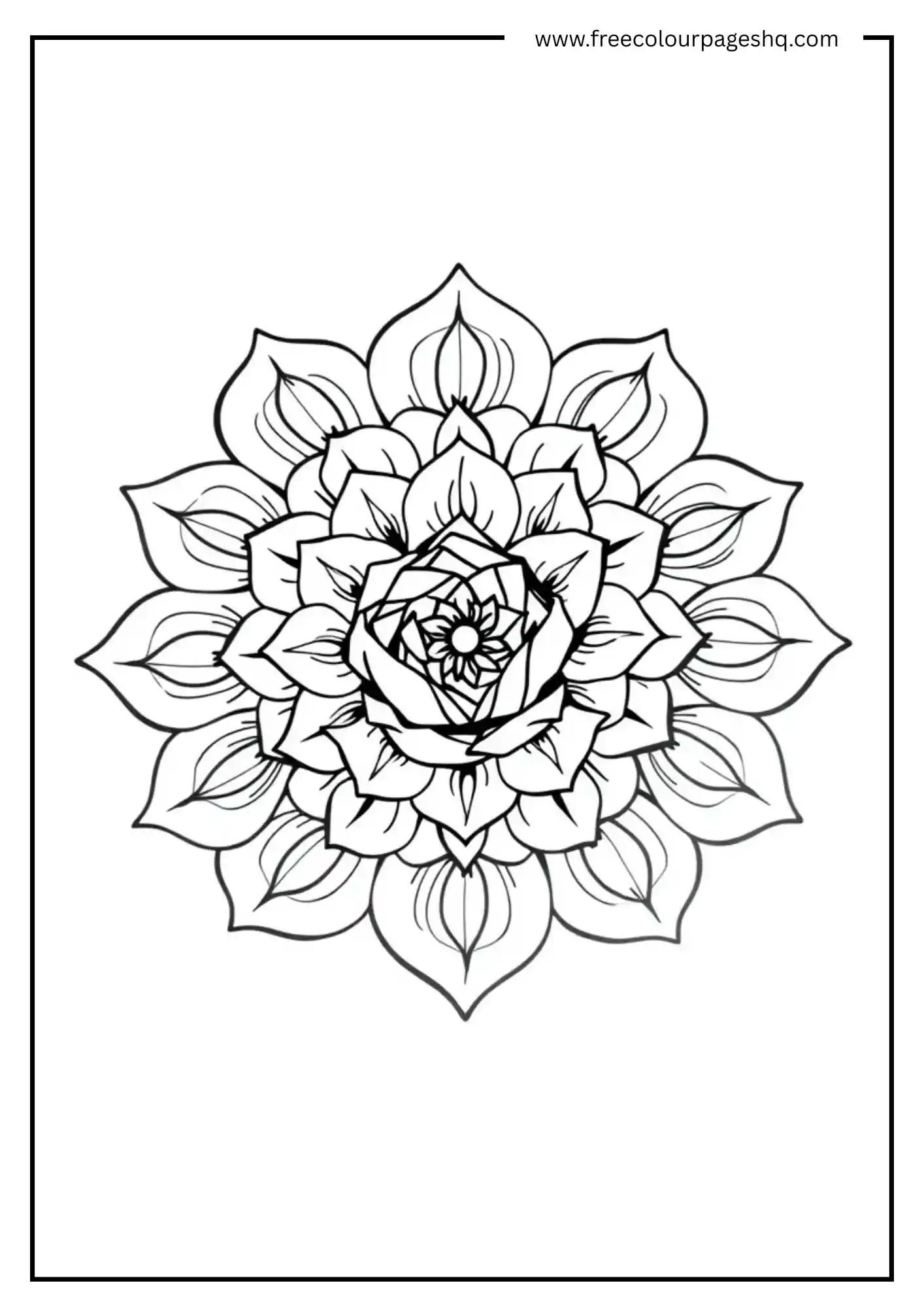 Bloom Beauty