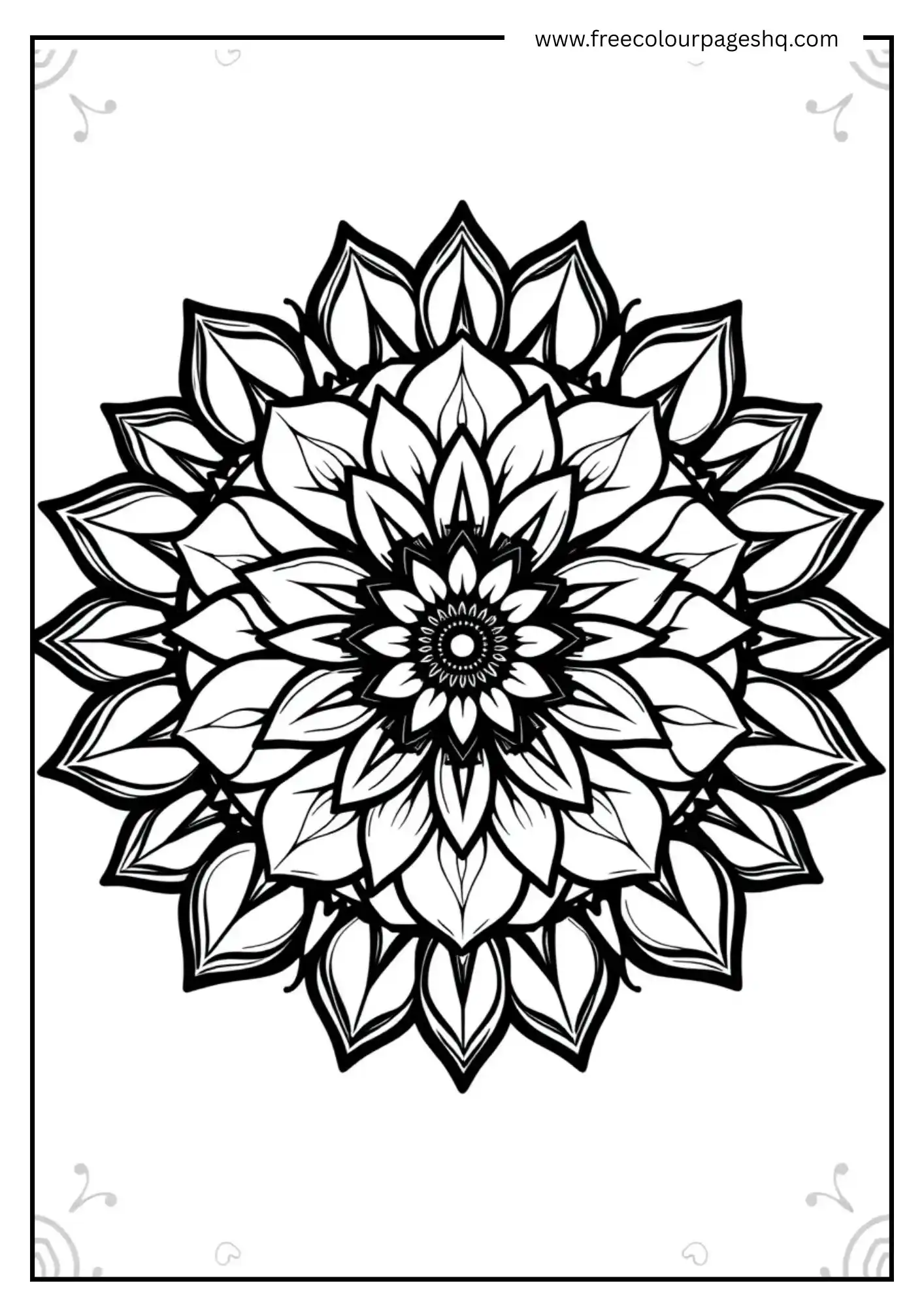 Bloom Shine