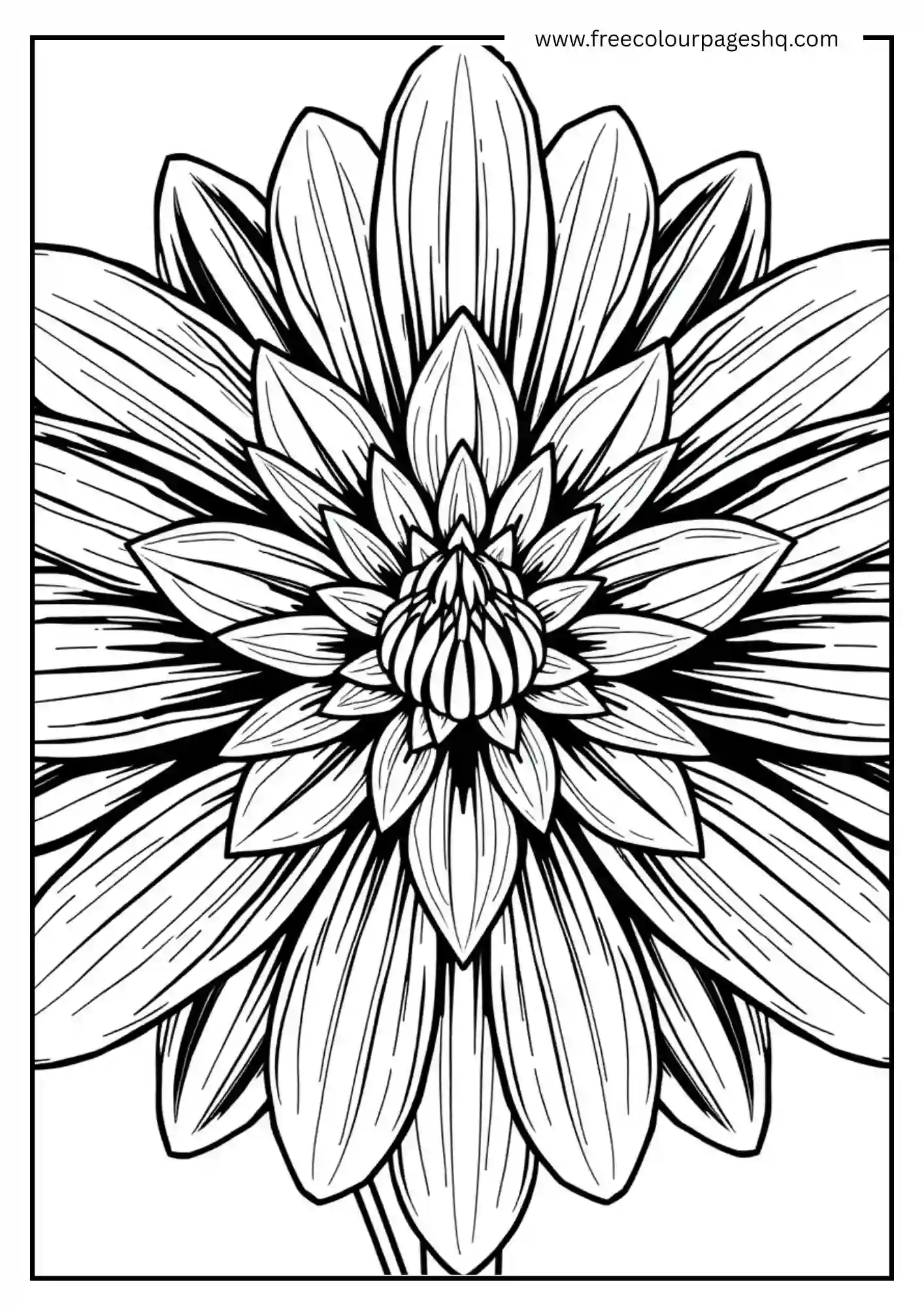 Bloom Shore