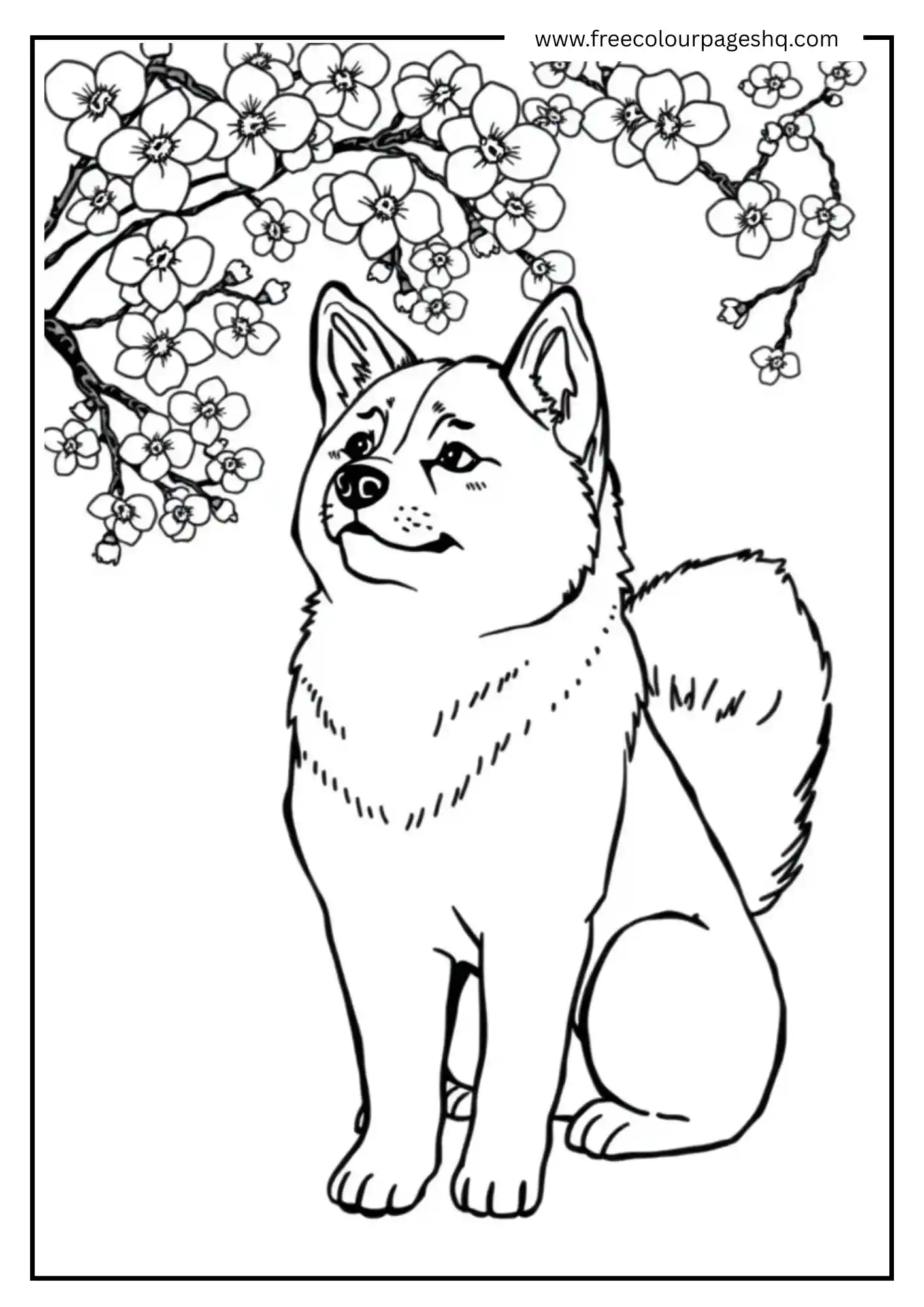 Blossom Dog