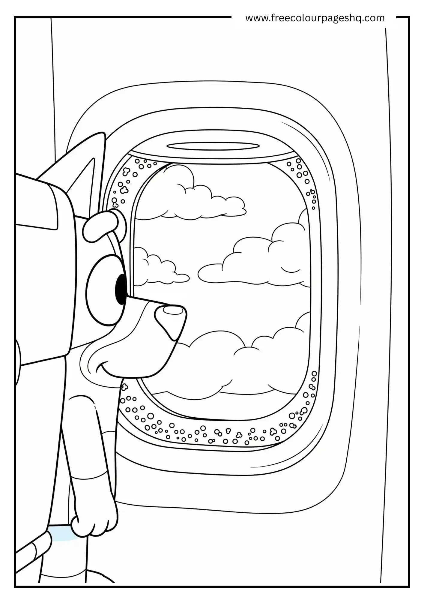 Bluey's Airplane Trip