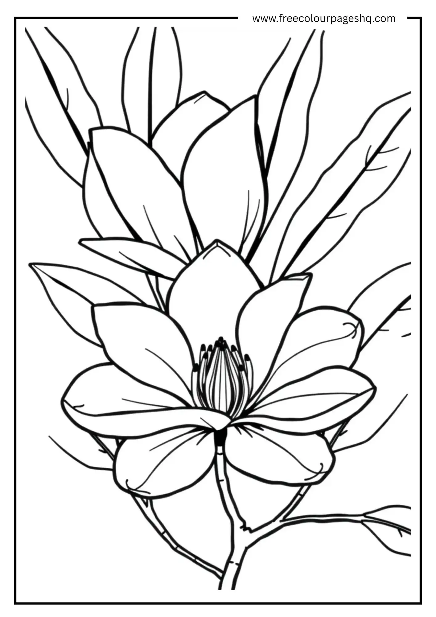 Bright Blooms