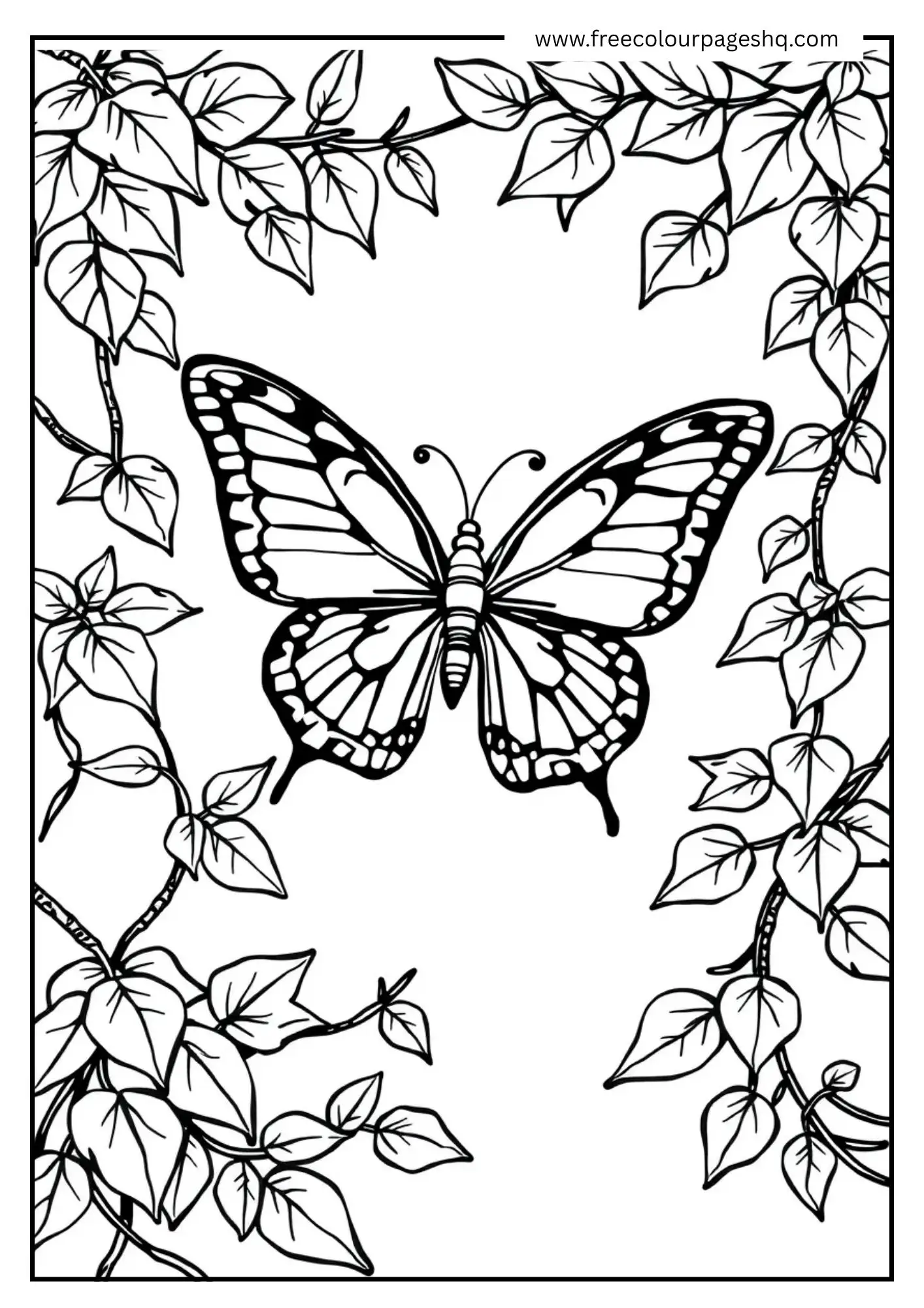 Butterfly and Vines