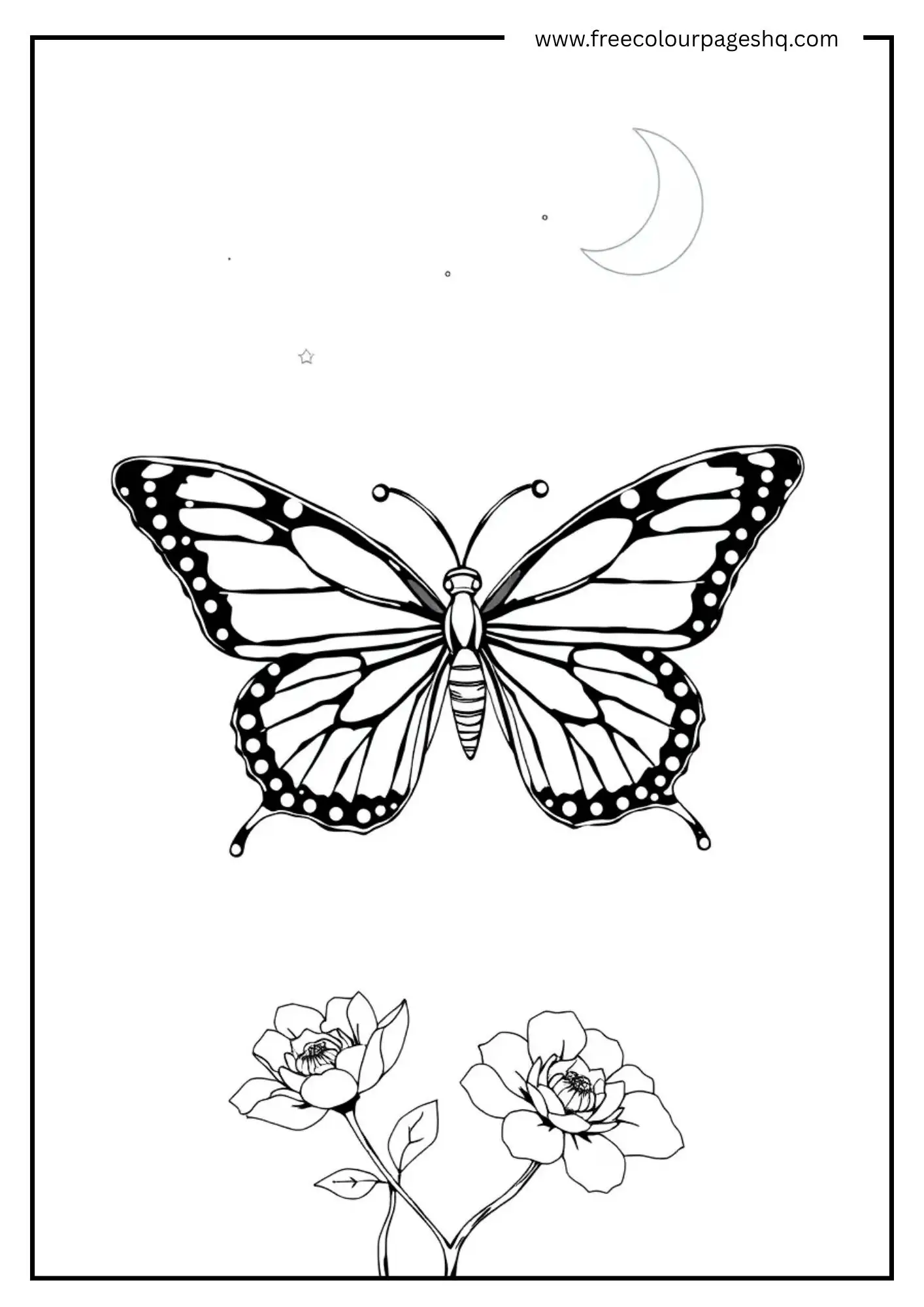 Butterfly of the Night