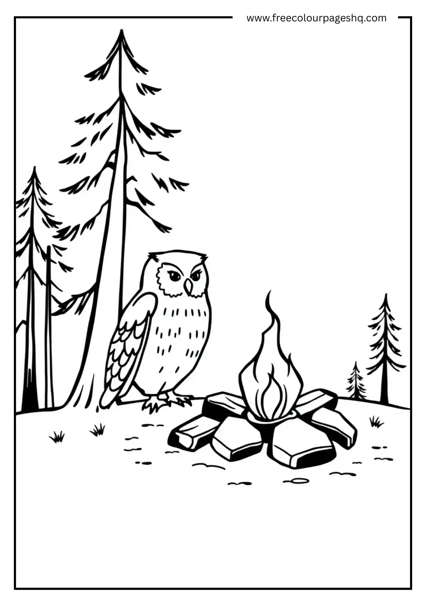 Campfire Story Owl