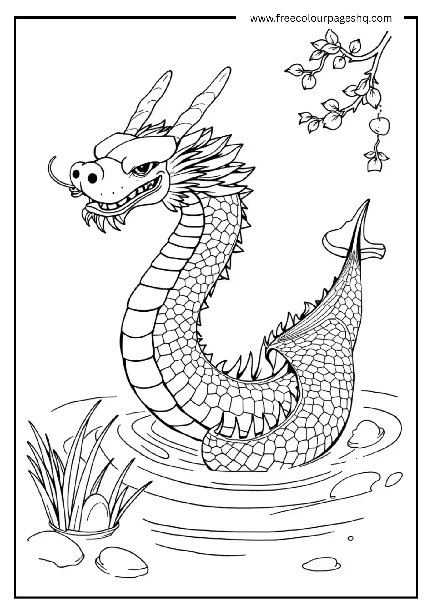 Chinese Water Dragon