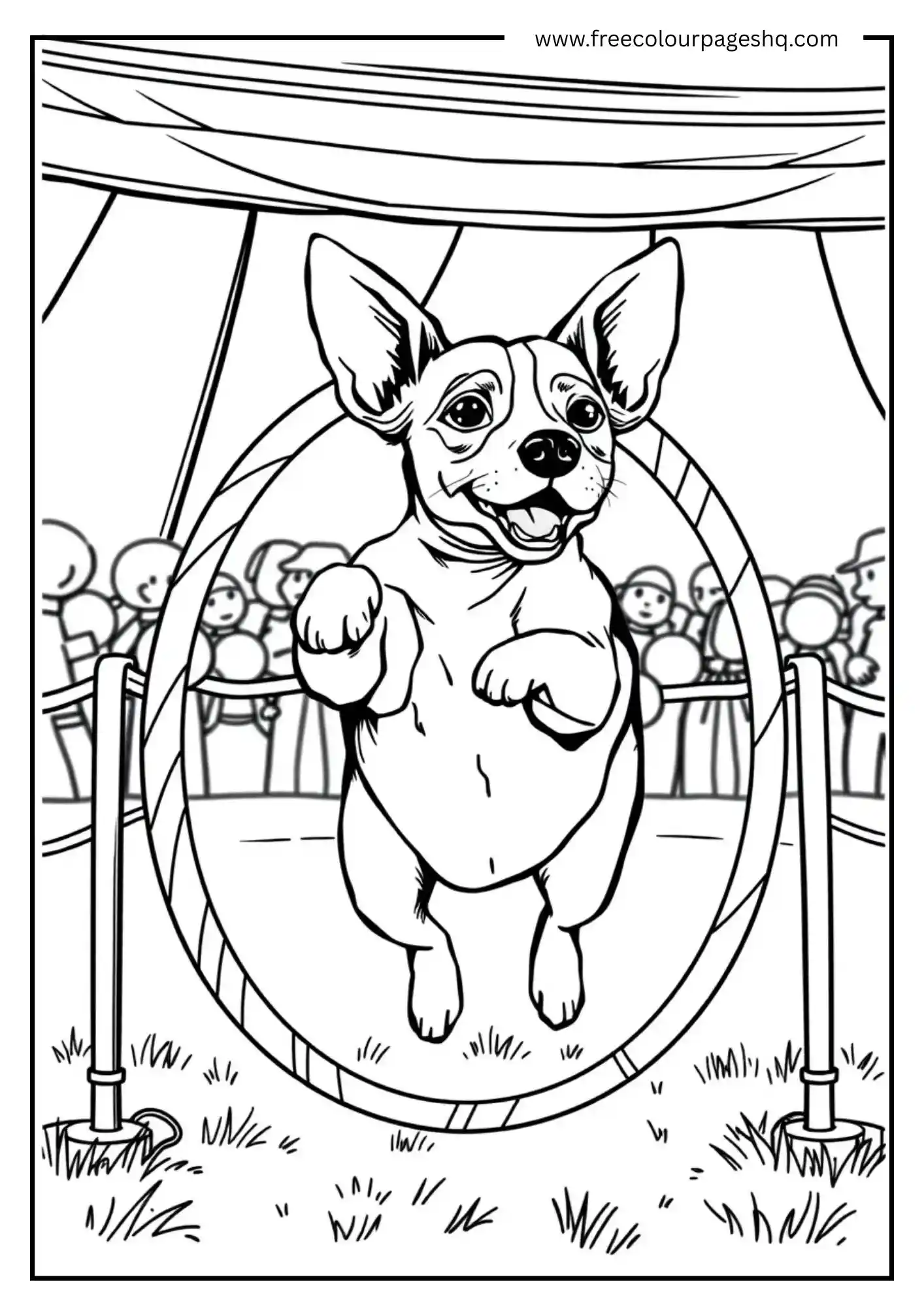 Circus Pup