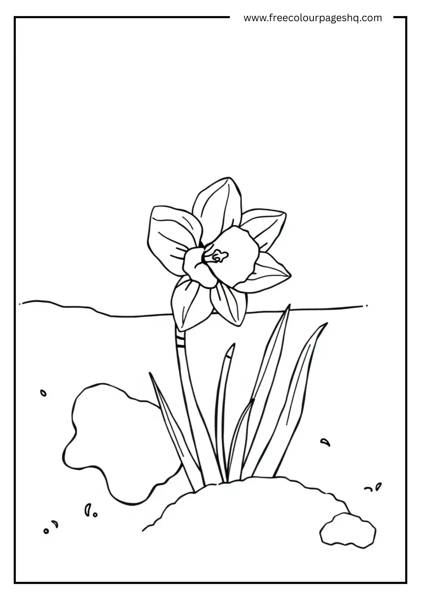 Cold Bloom
