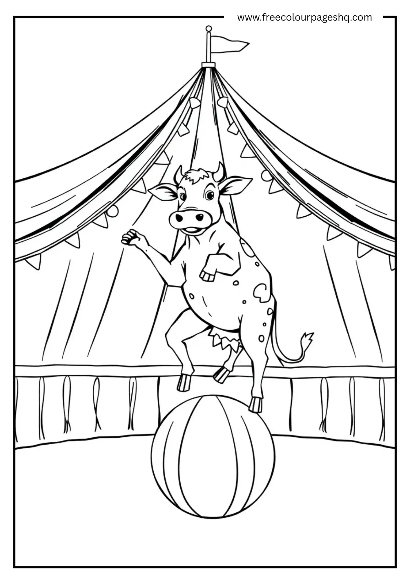 Cow Circus Performer Cow Circus Performer