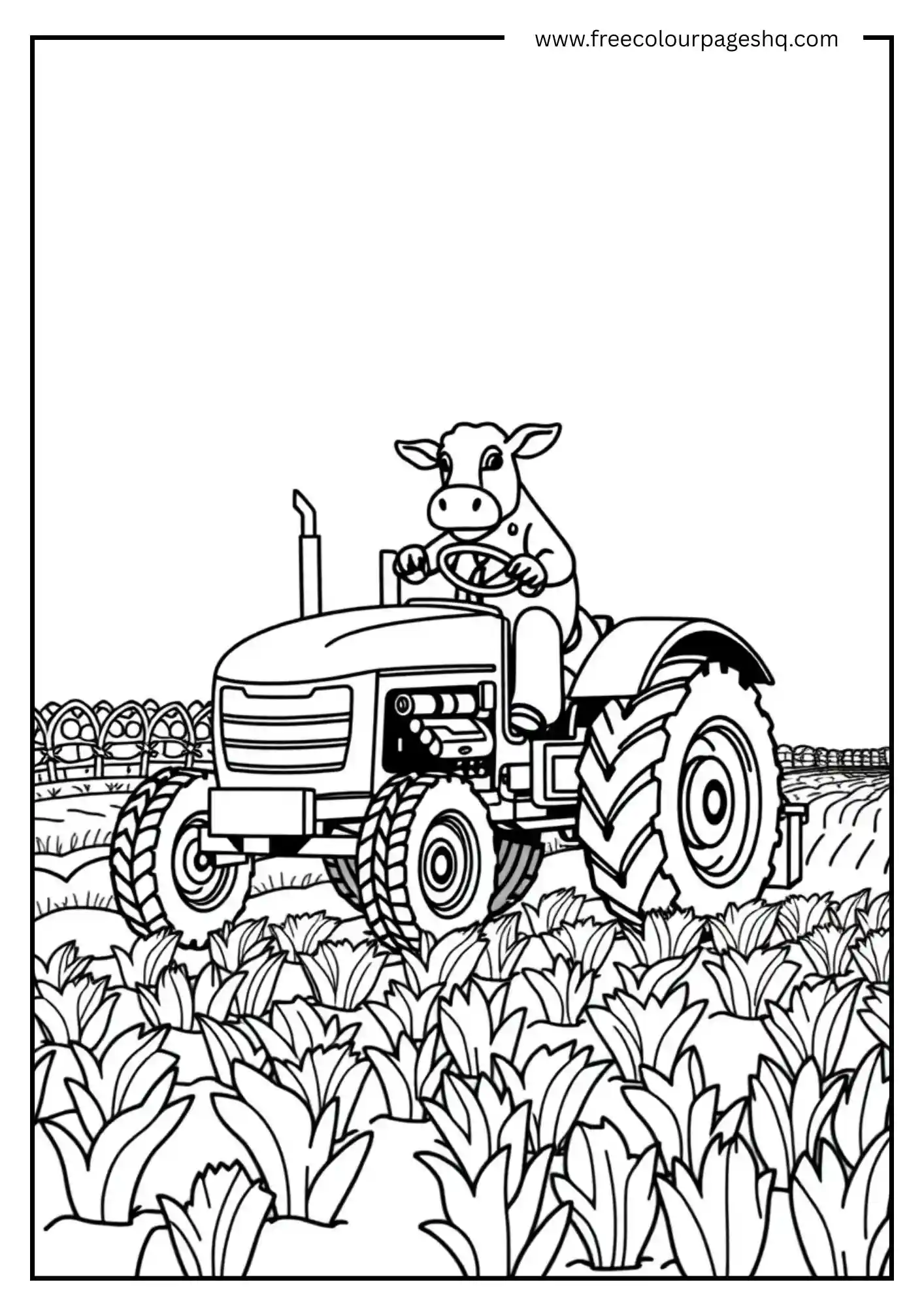 Cow Driving Tractor Cow Driving Tractor