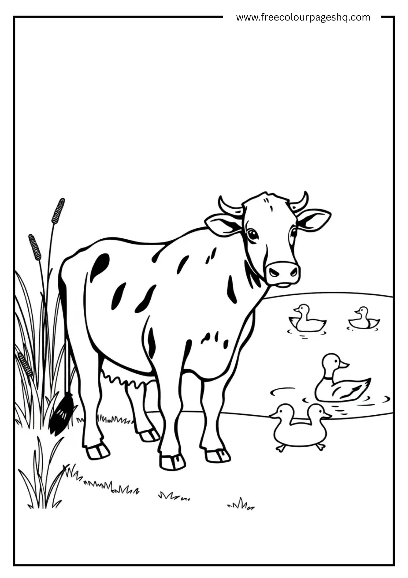 Cow and Duck Pond Cow and Duck Pond