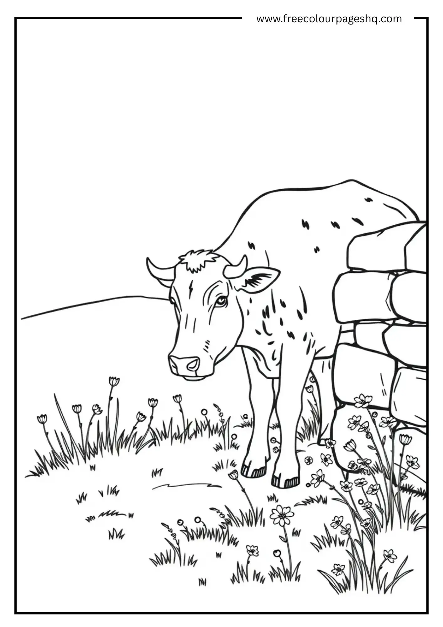 Cow by Stone Wall Cow by Stone Wall