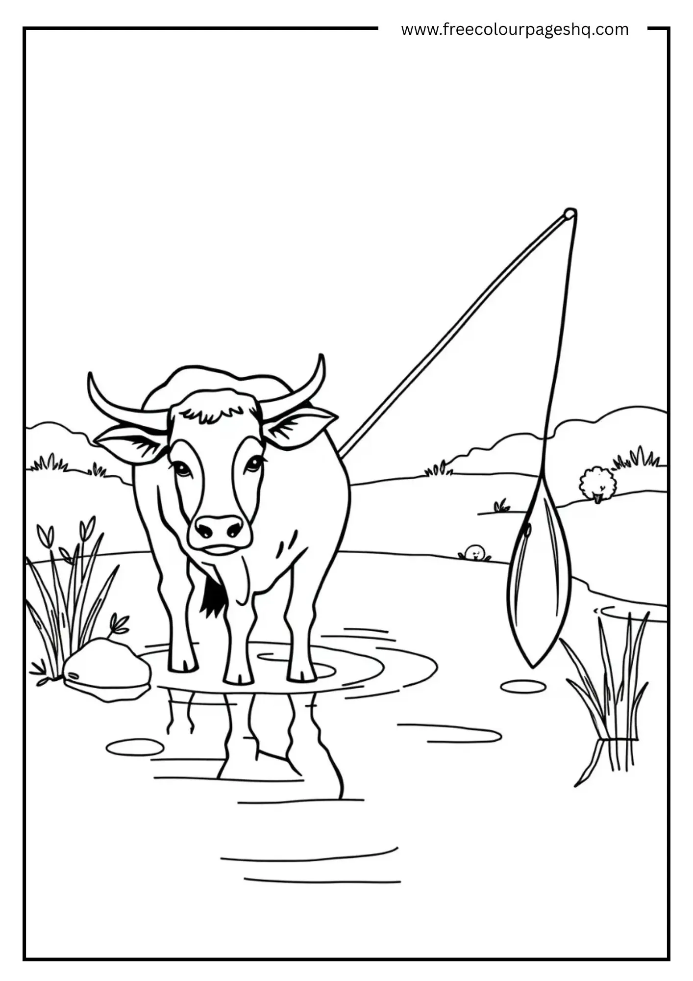 Cow in Fishing Pond Cow in Fishing Pond