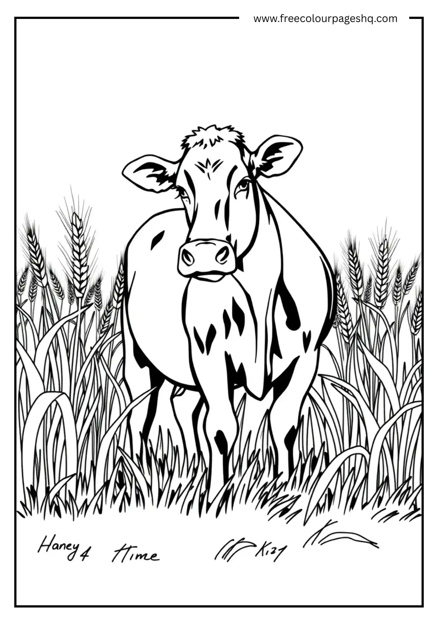 Cow in Wheat Field Cow in Wheat Field