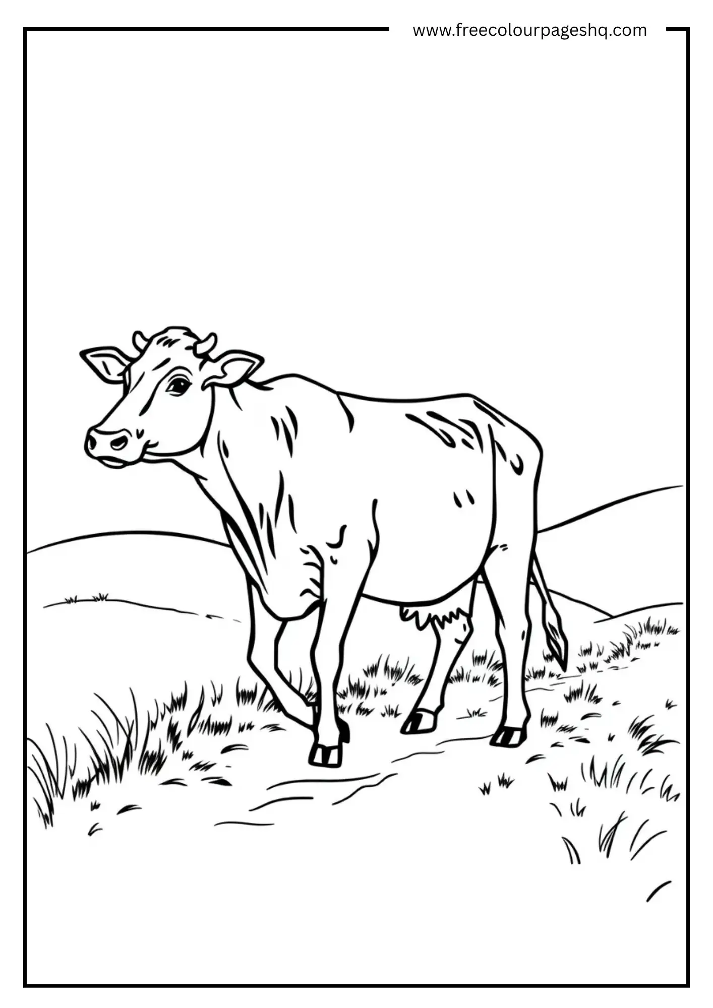 Cow on Country Hill Road Cow on Country Hill Road