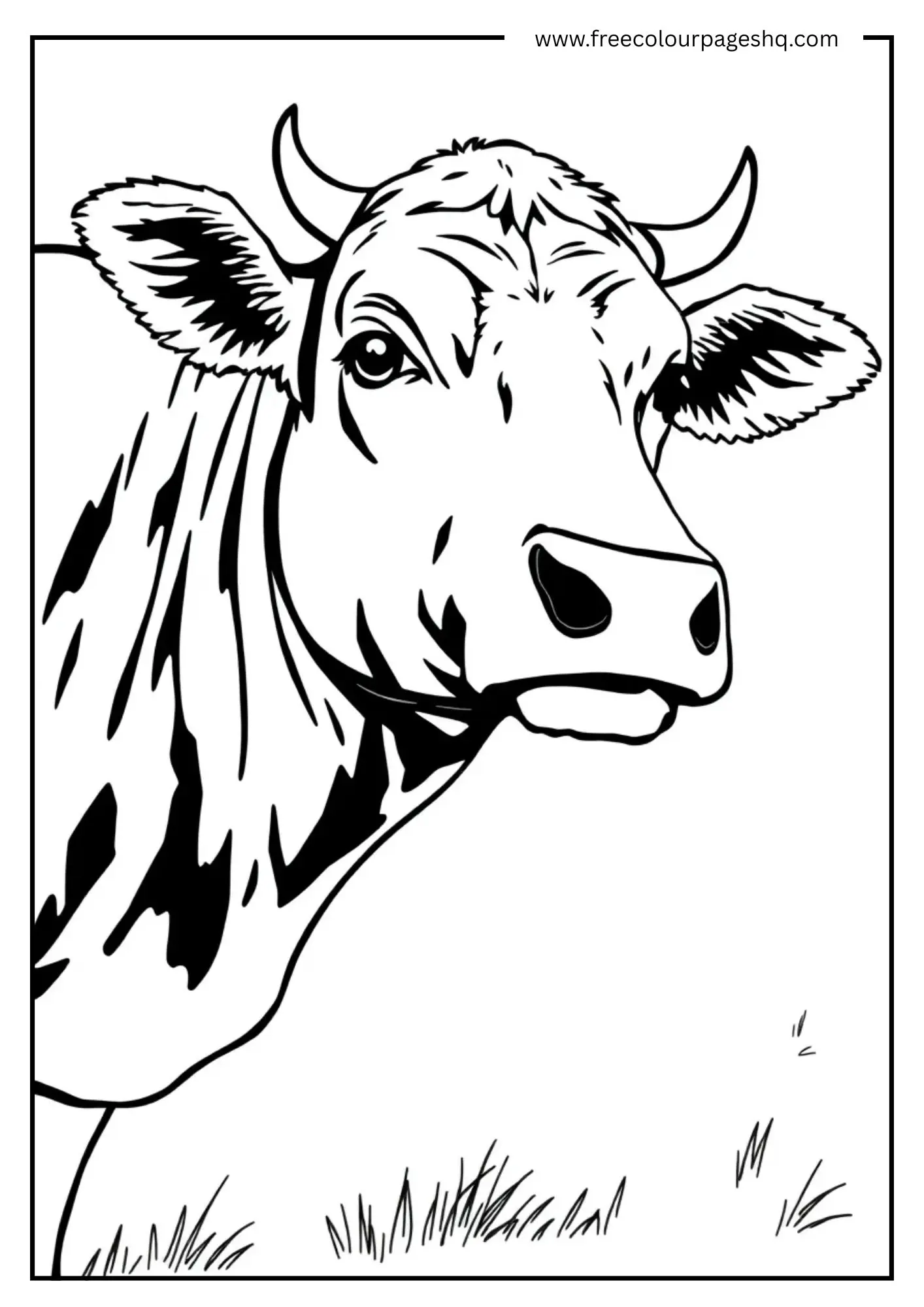 Cow on the Farm Cow on the Farm