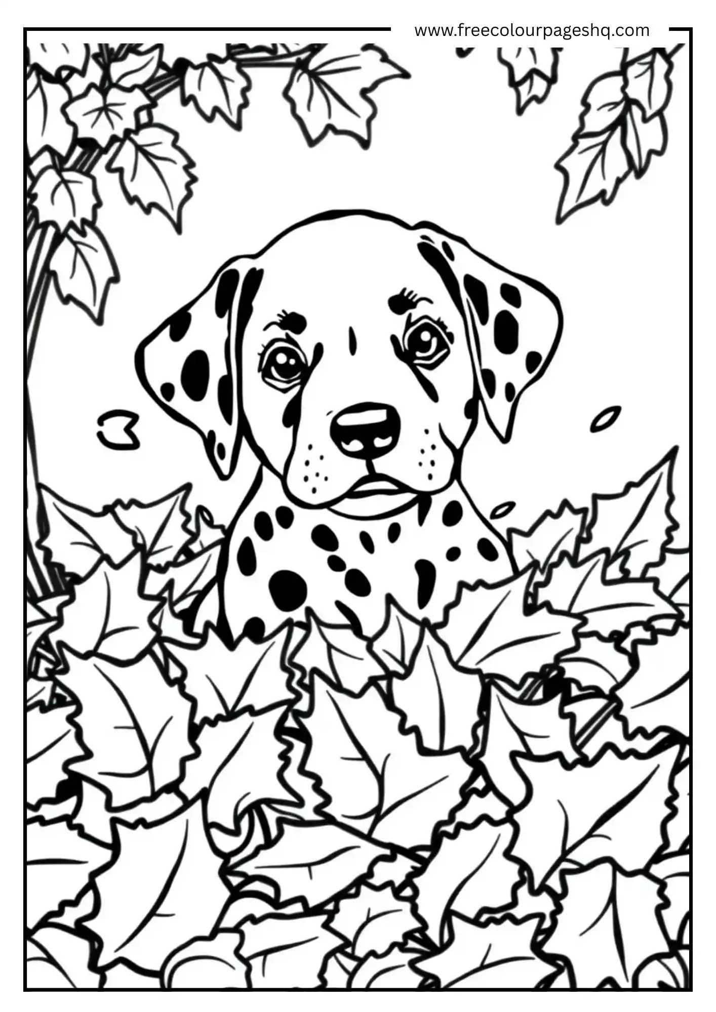 Cute Dalmatian Puppy