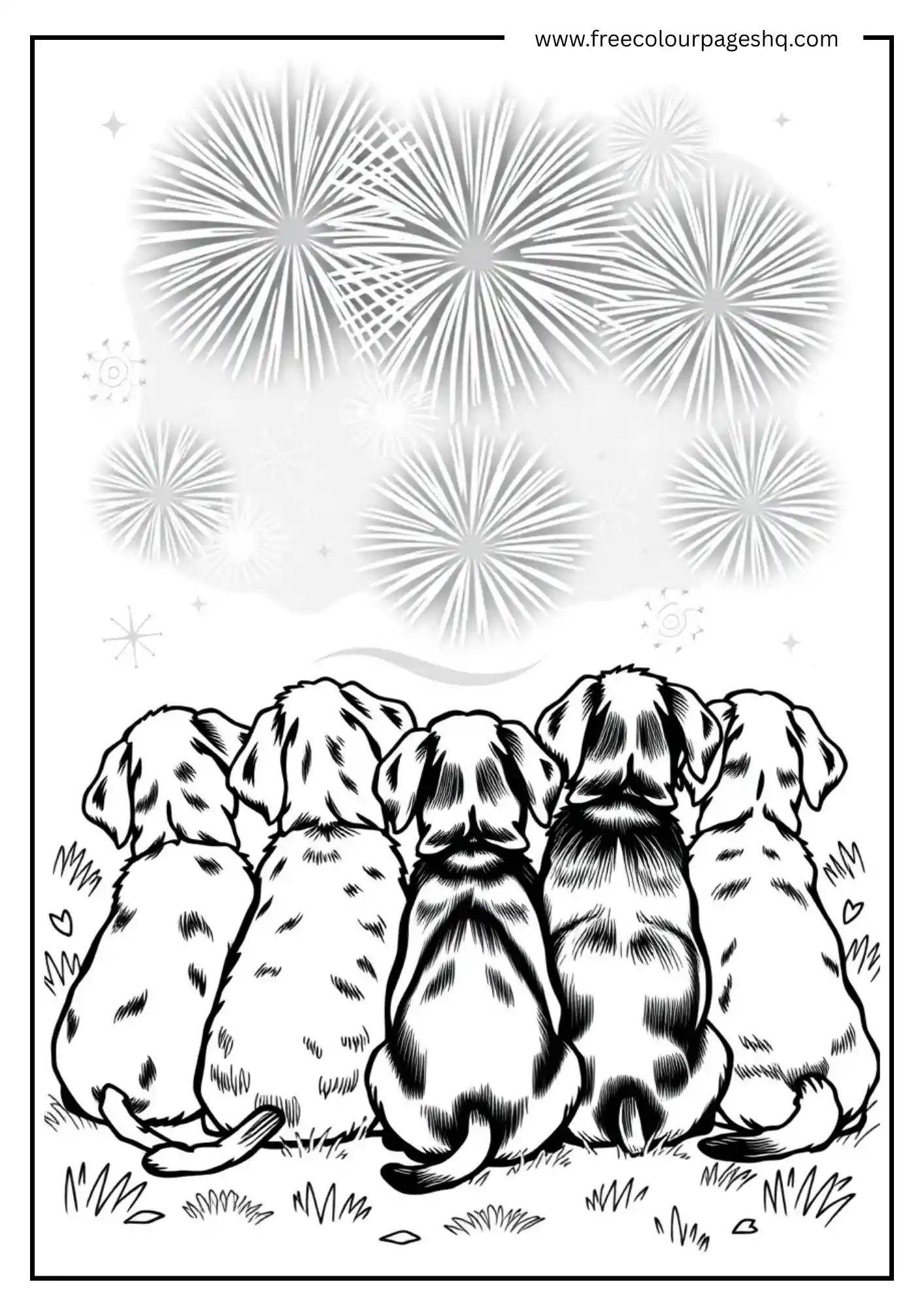 Cute Dogs Watching Fireworks