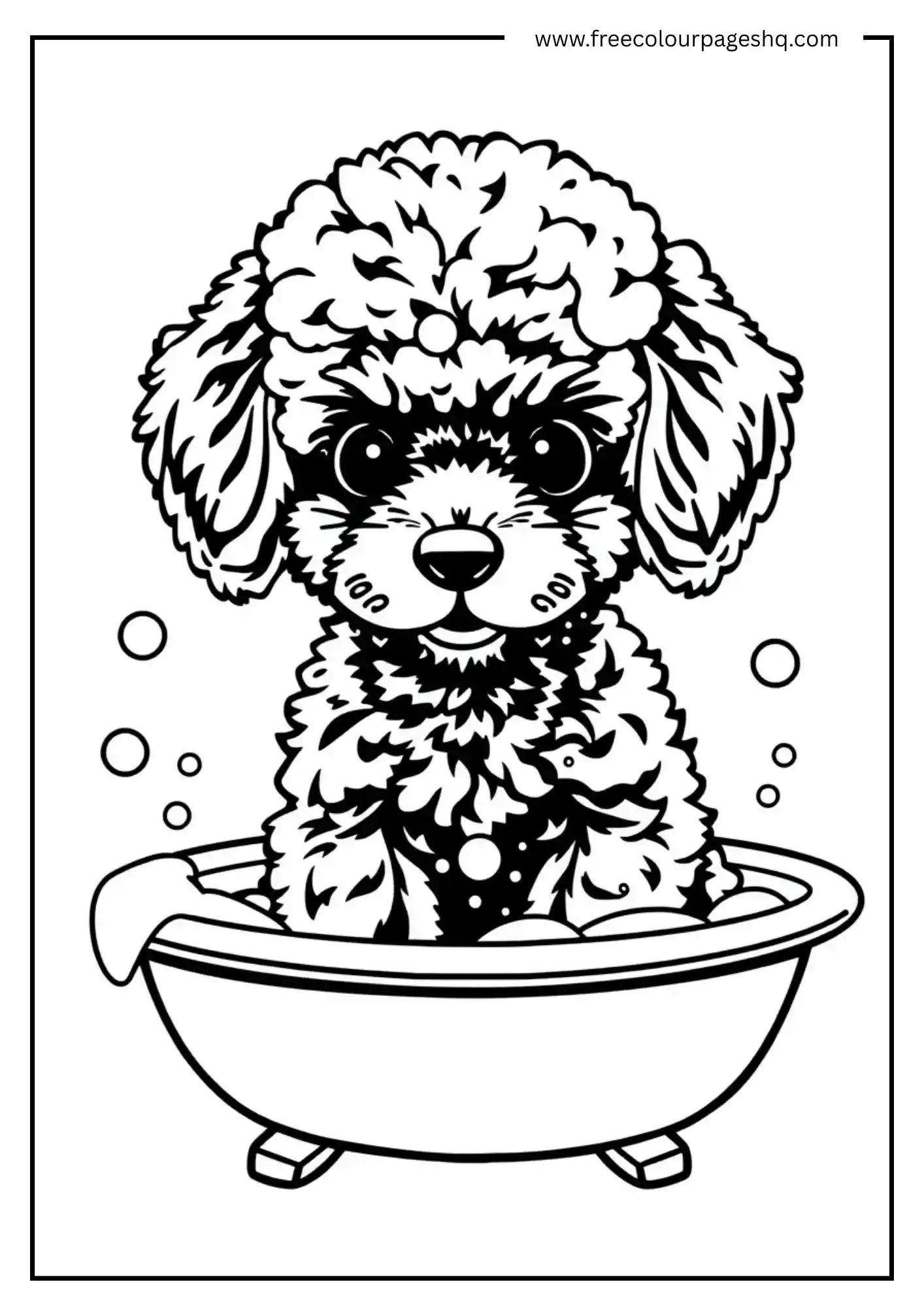Cute Poodle Puppy Bath Time