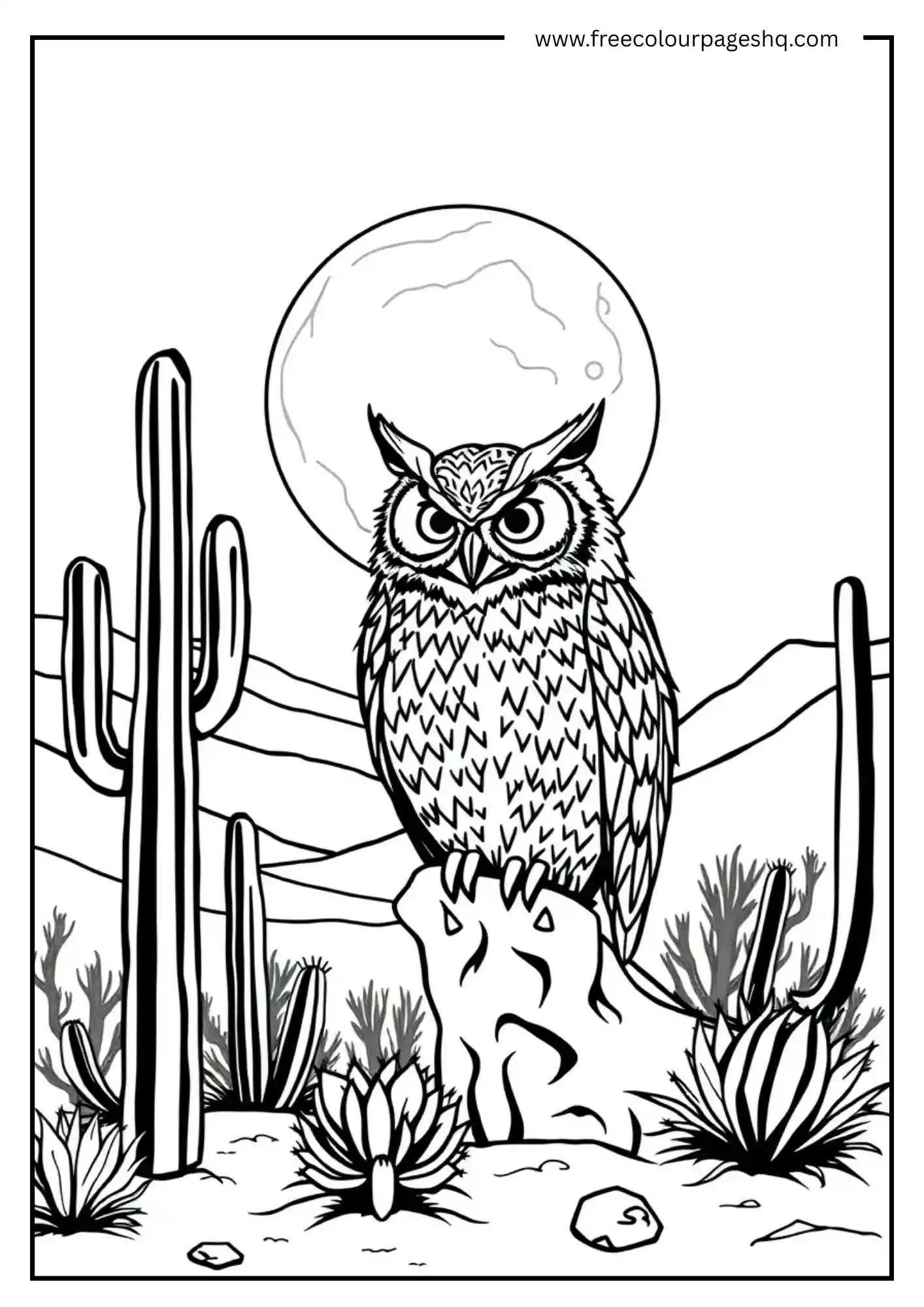 Desert Moon Owl