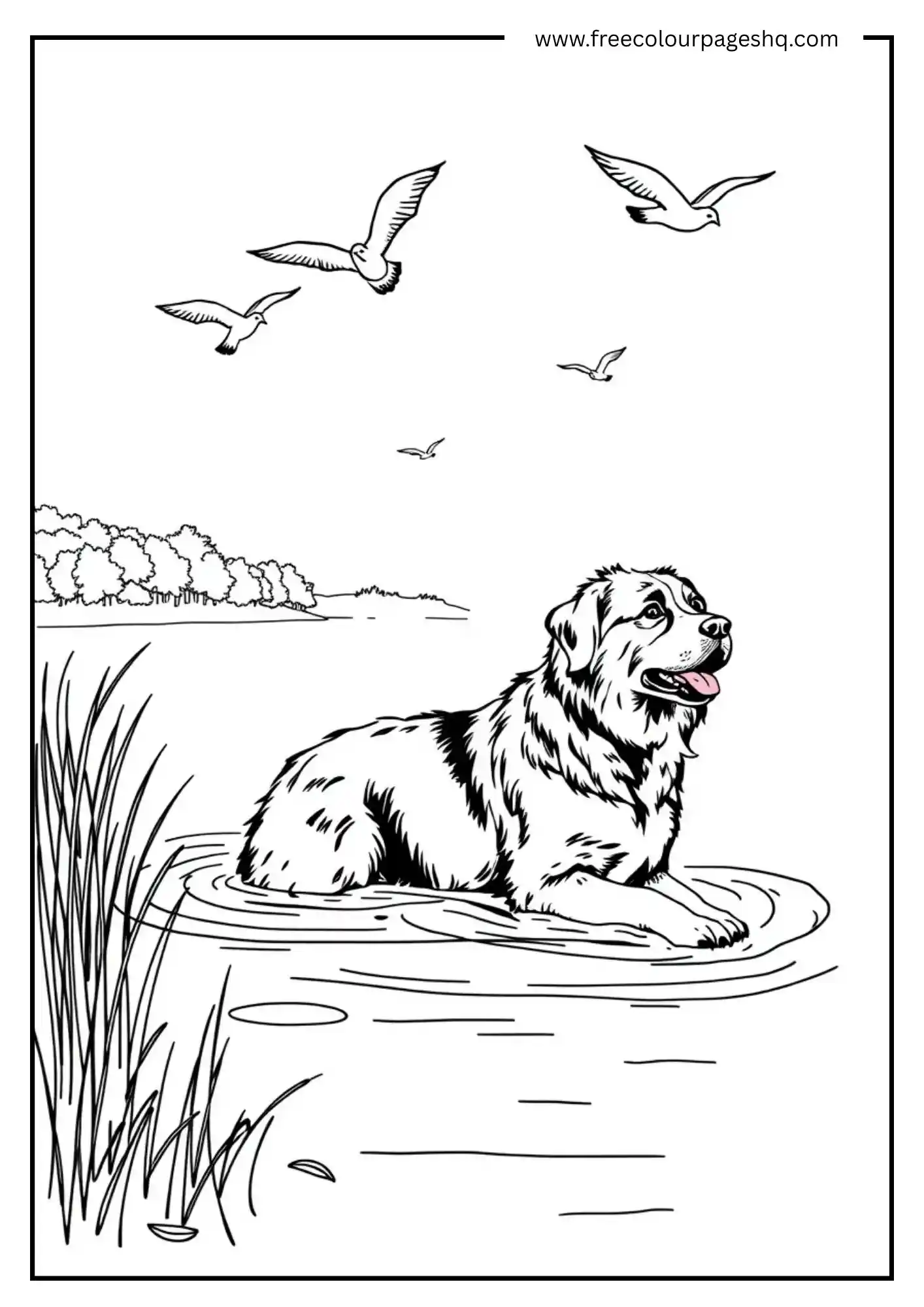 Dog by the River