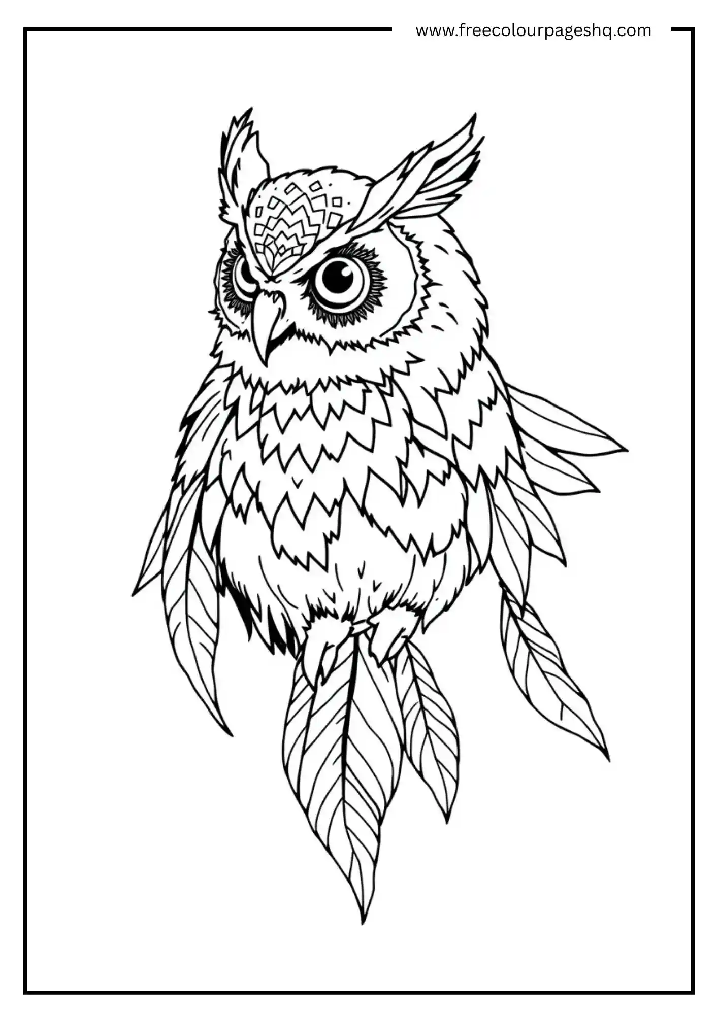 Dreamcatcher Feather Owl